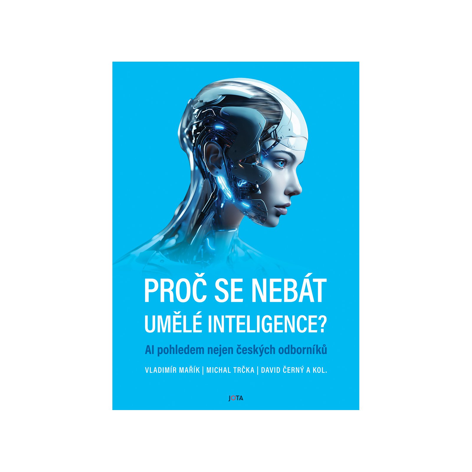 Proč se nebát umělé inteligence?