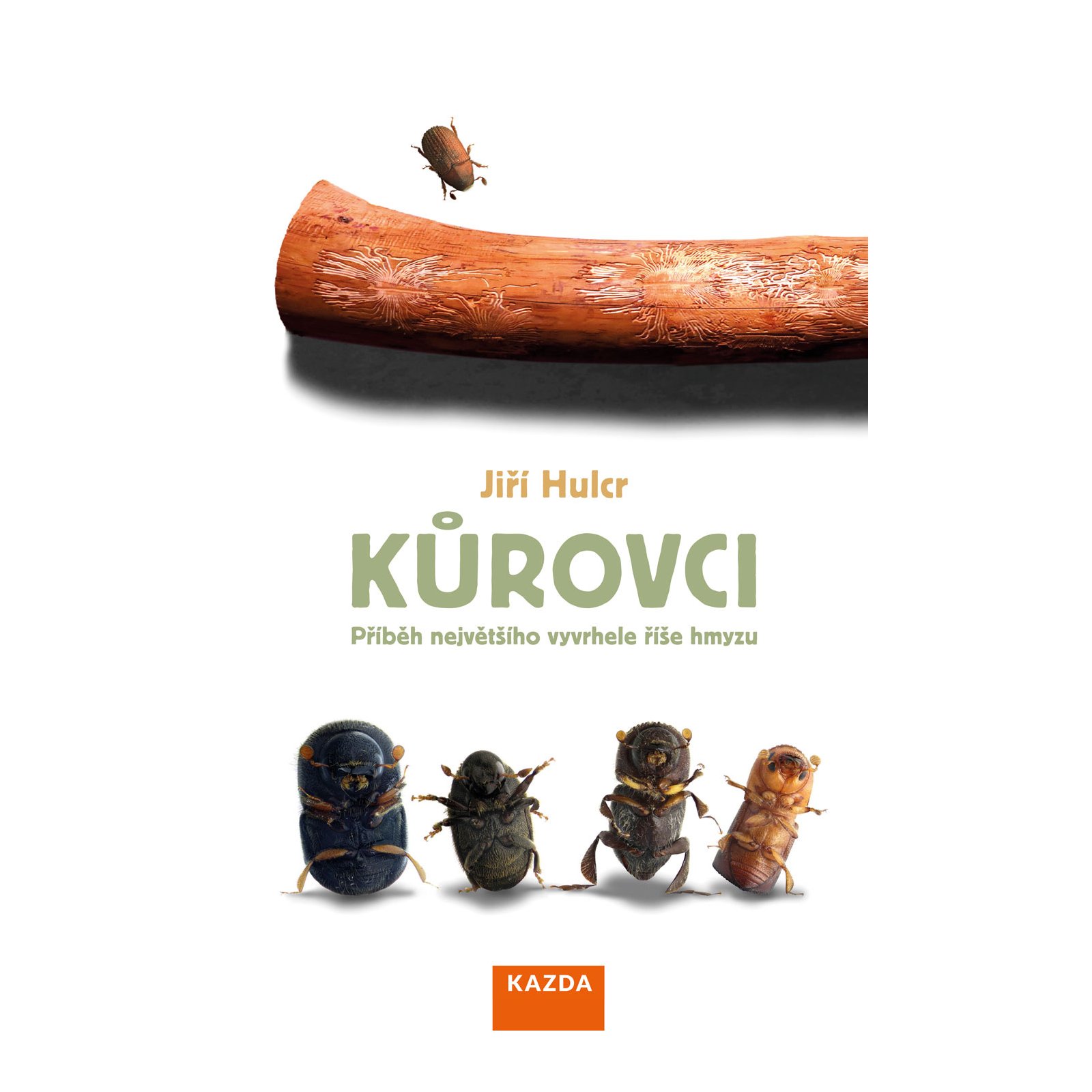 Kůrovci