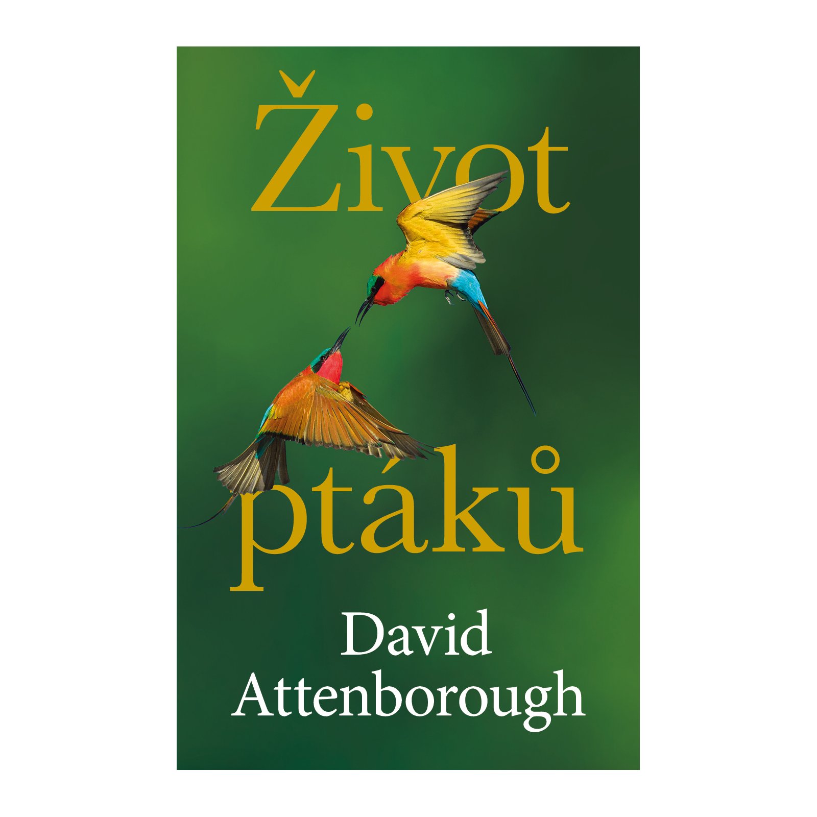 Život ptáků