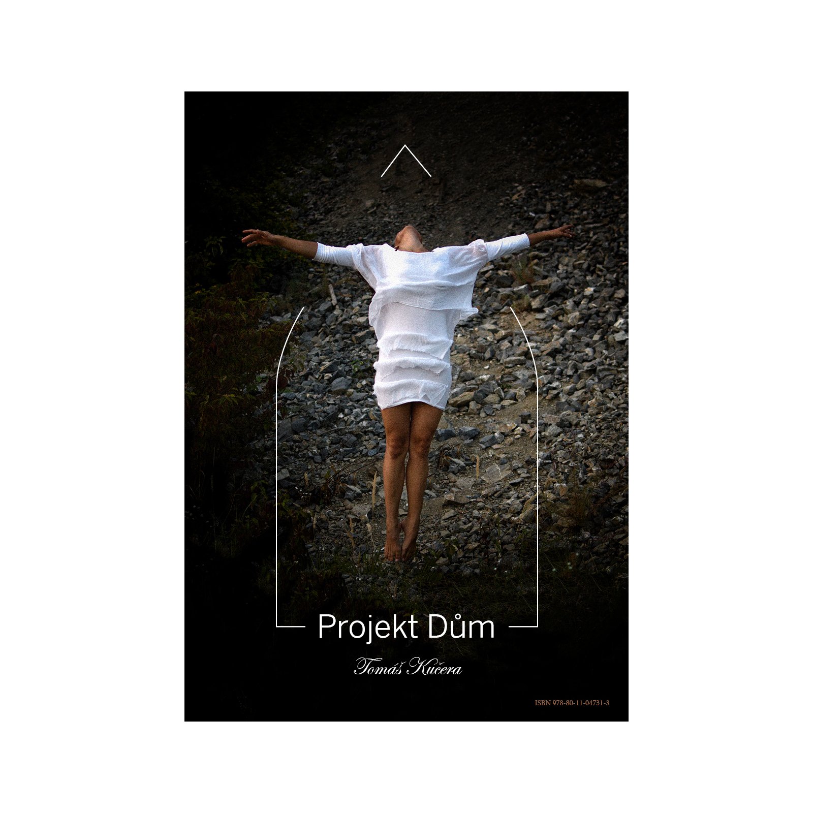 Projekt Dům
