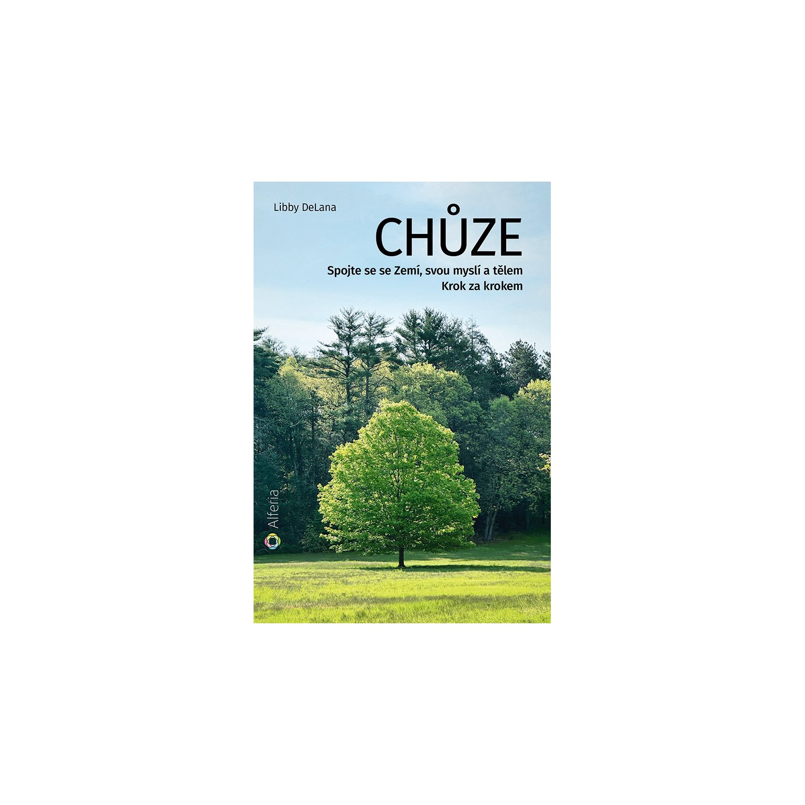 Chůze