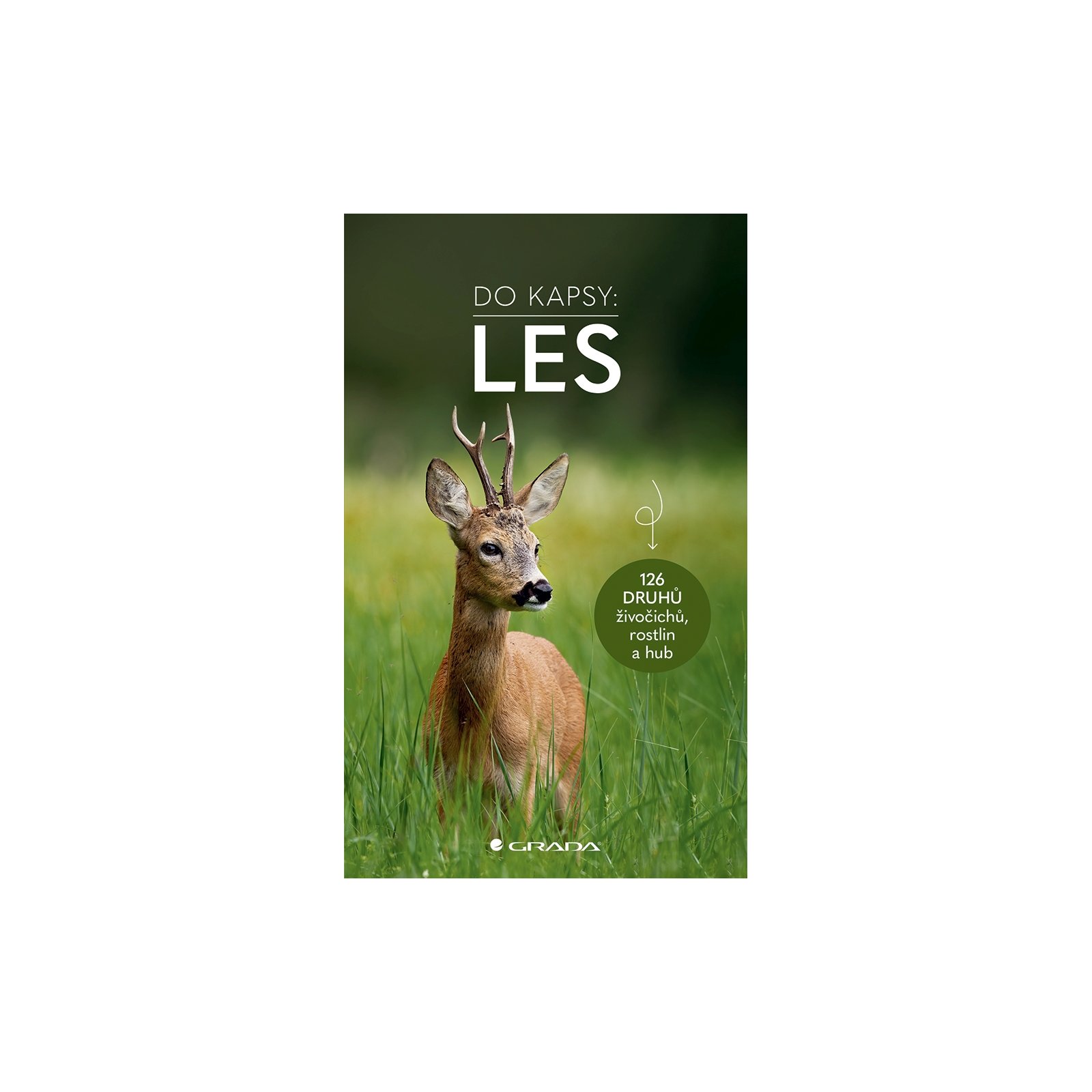 Les - Do kapsy