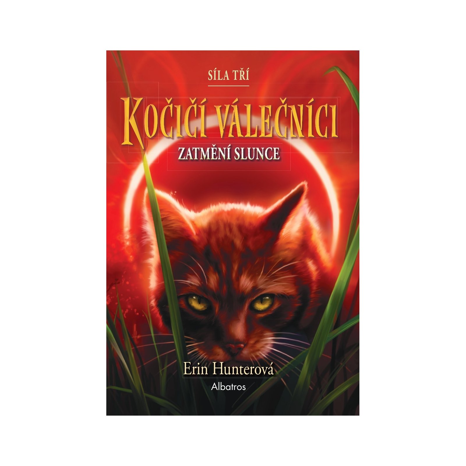 Kočičí válečníci: Síla tří (4) – Zatmění slunce