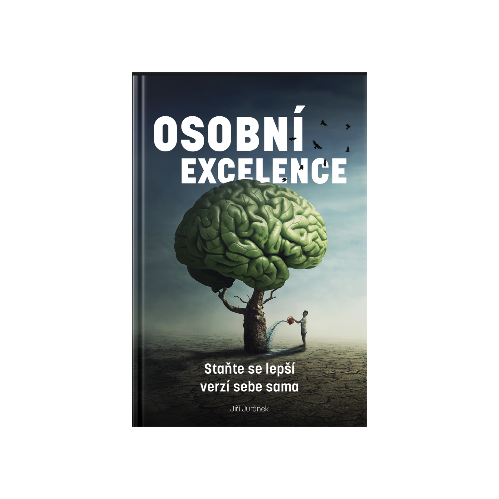 Osobní excelence