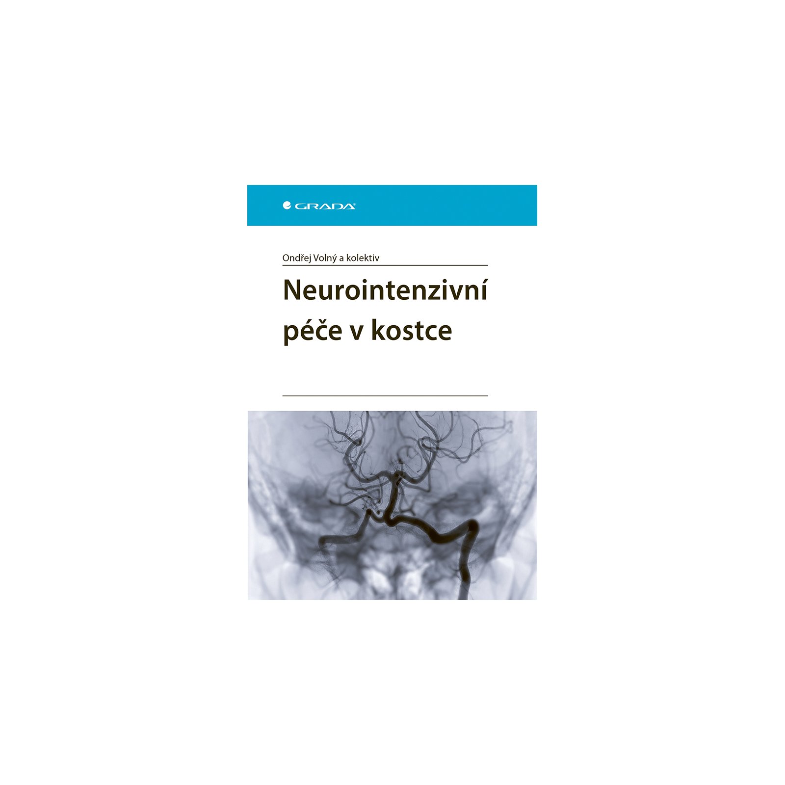 Neurointenzivní péče v kostce