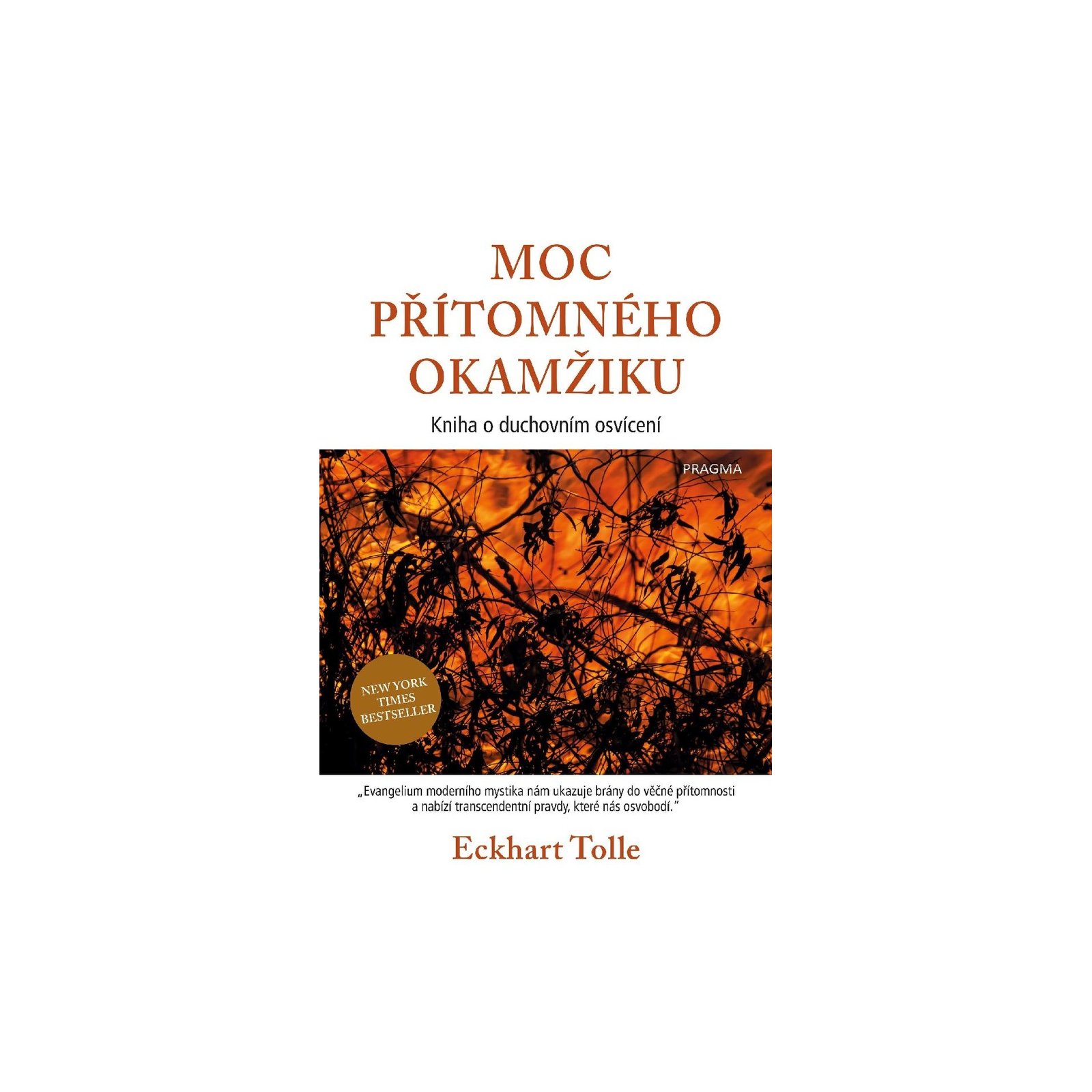 Moc přítomného okamžiku