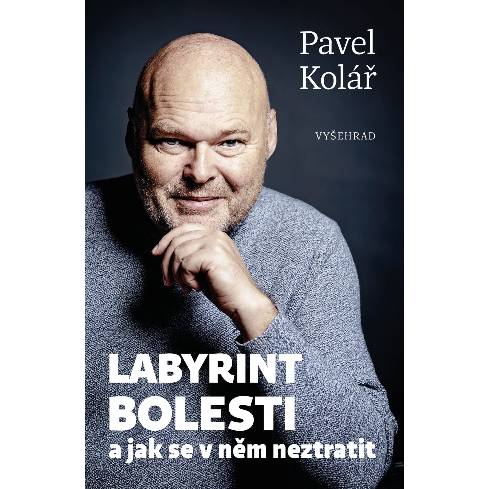 Labyrint bolesti