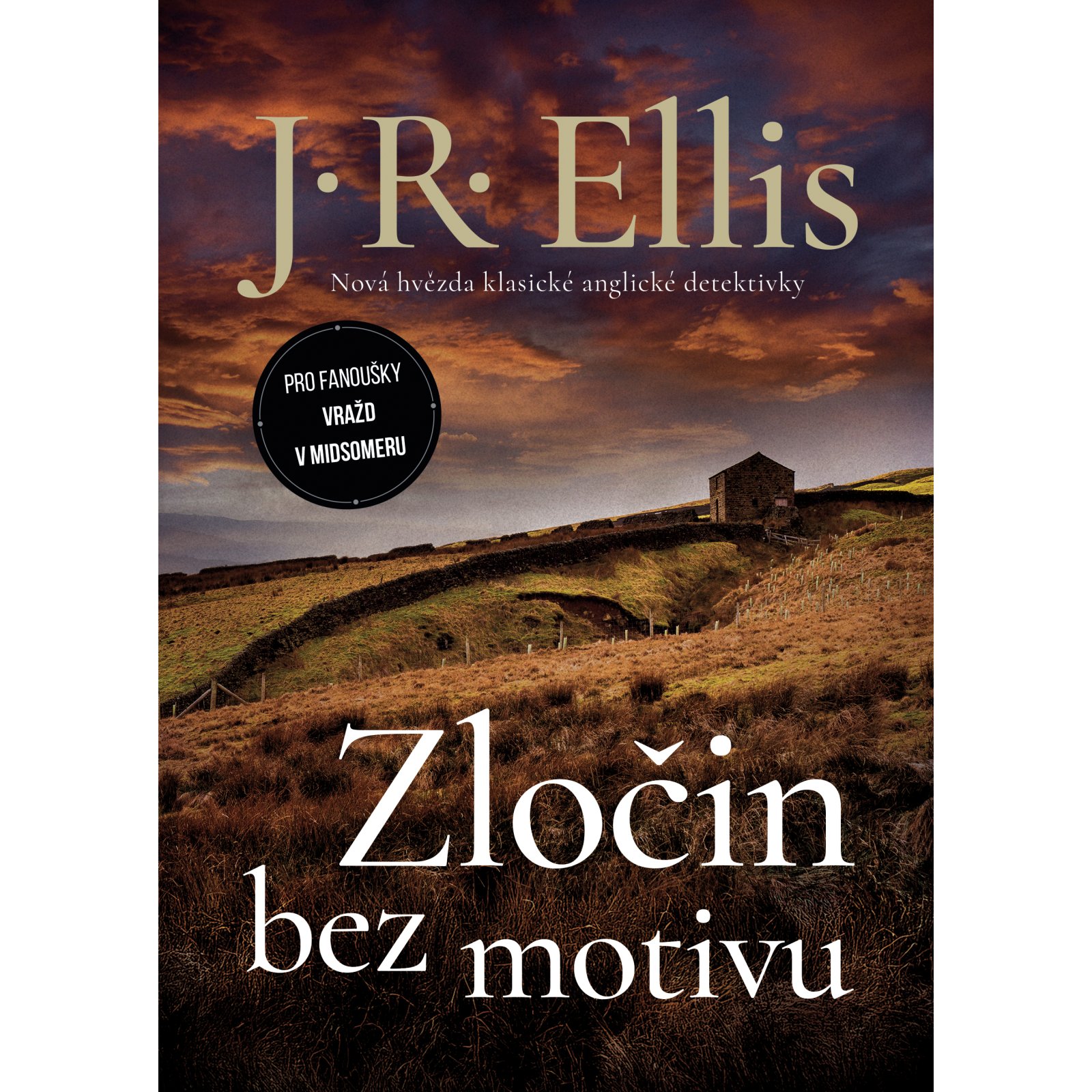 Zločin bez motivu