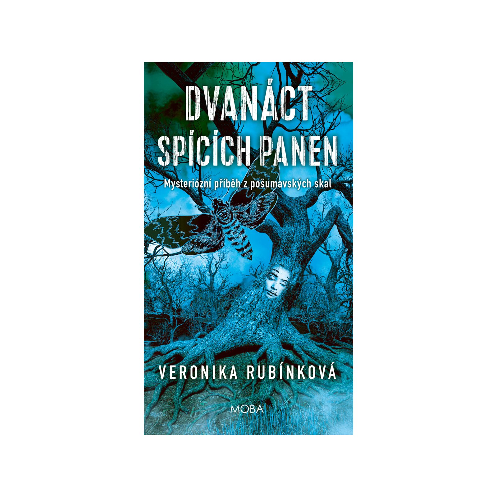 Dvanáct spících panen 