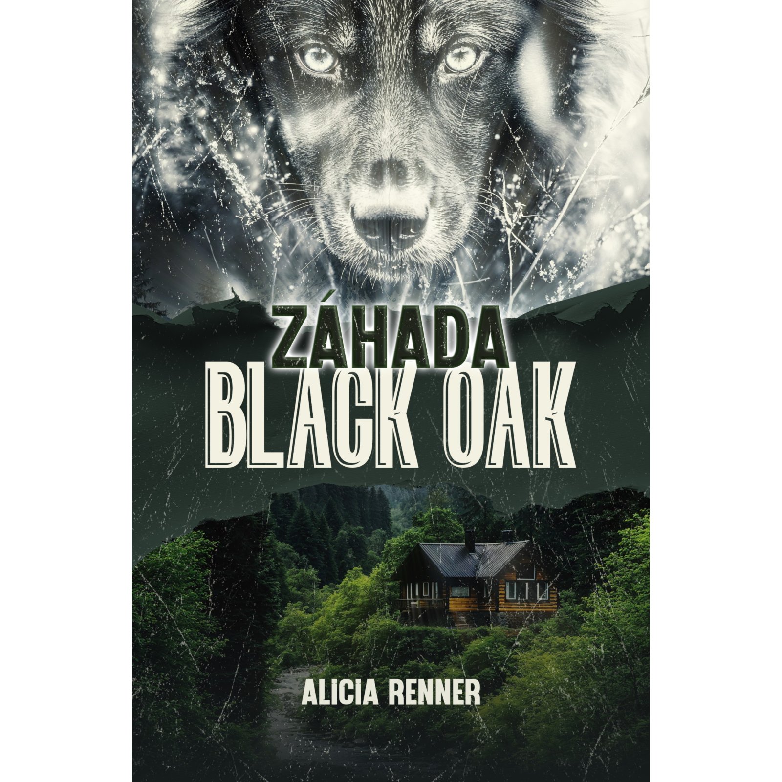 Záhada Black Oak