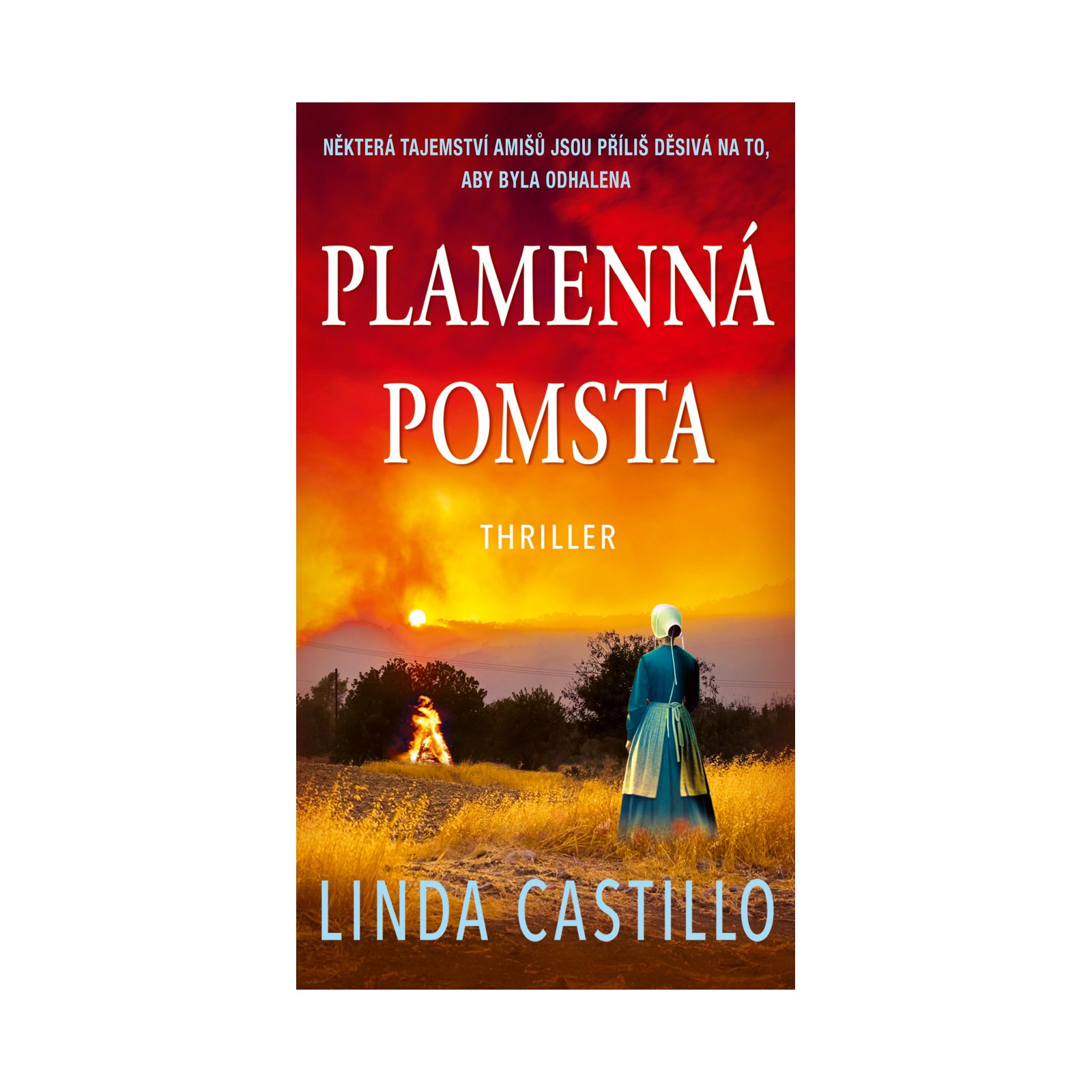 Plamenná pomsta 