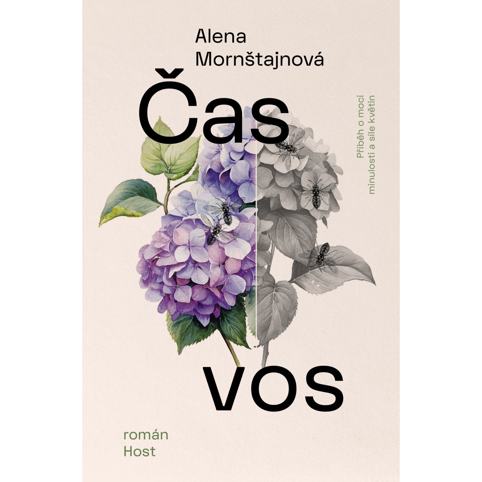 Čas vos