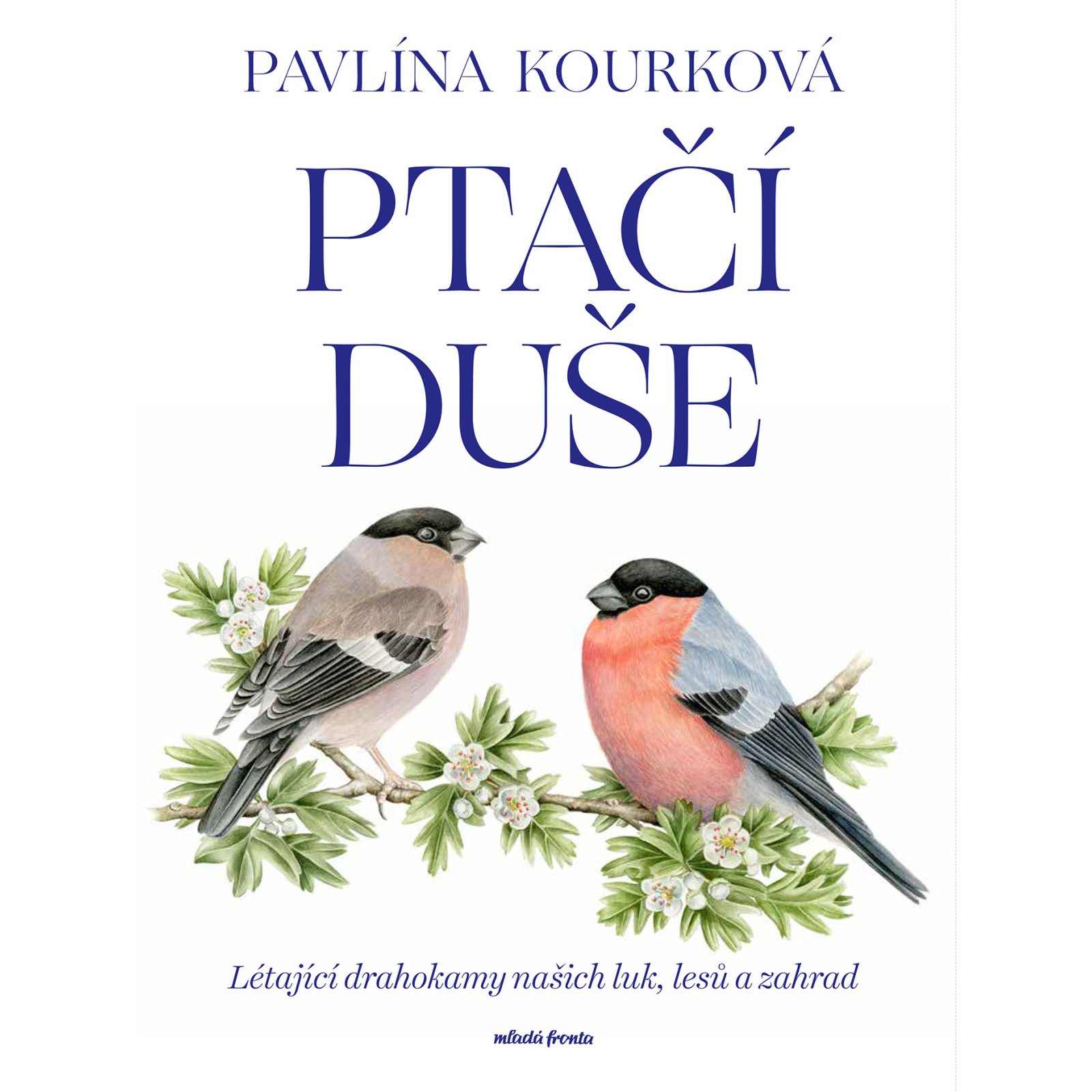 Ptačí duše