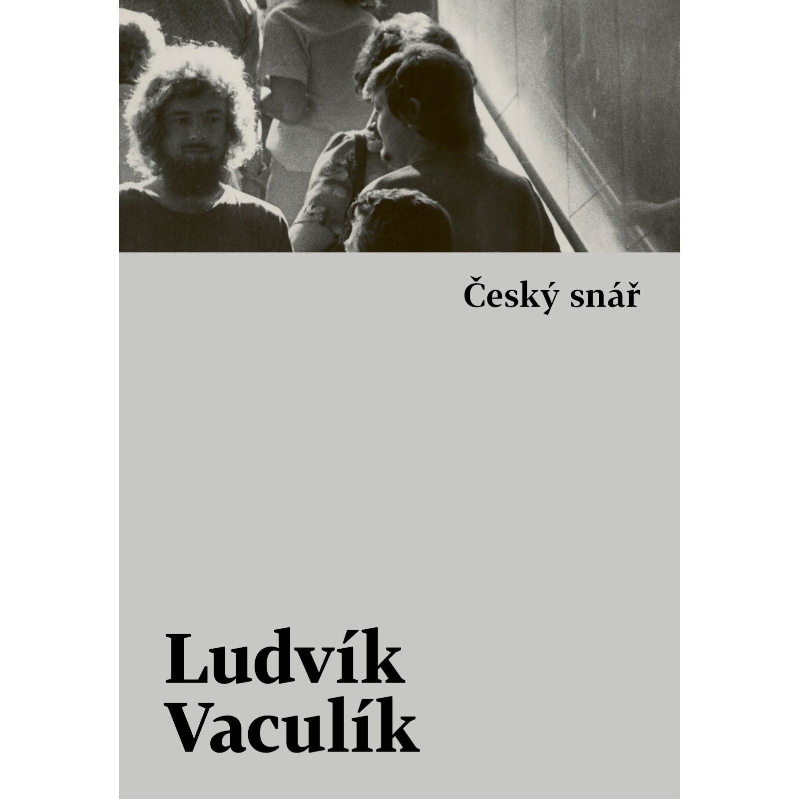 Český snář