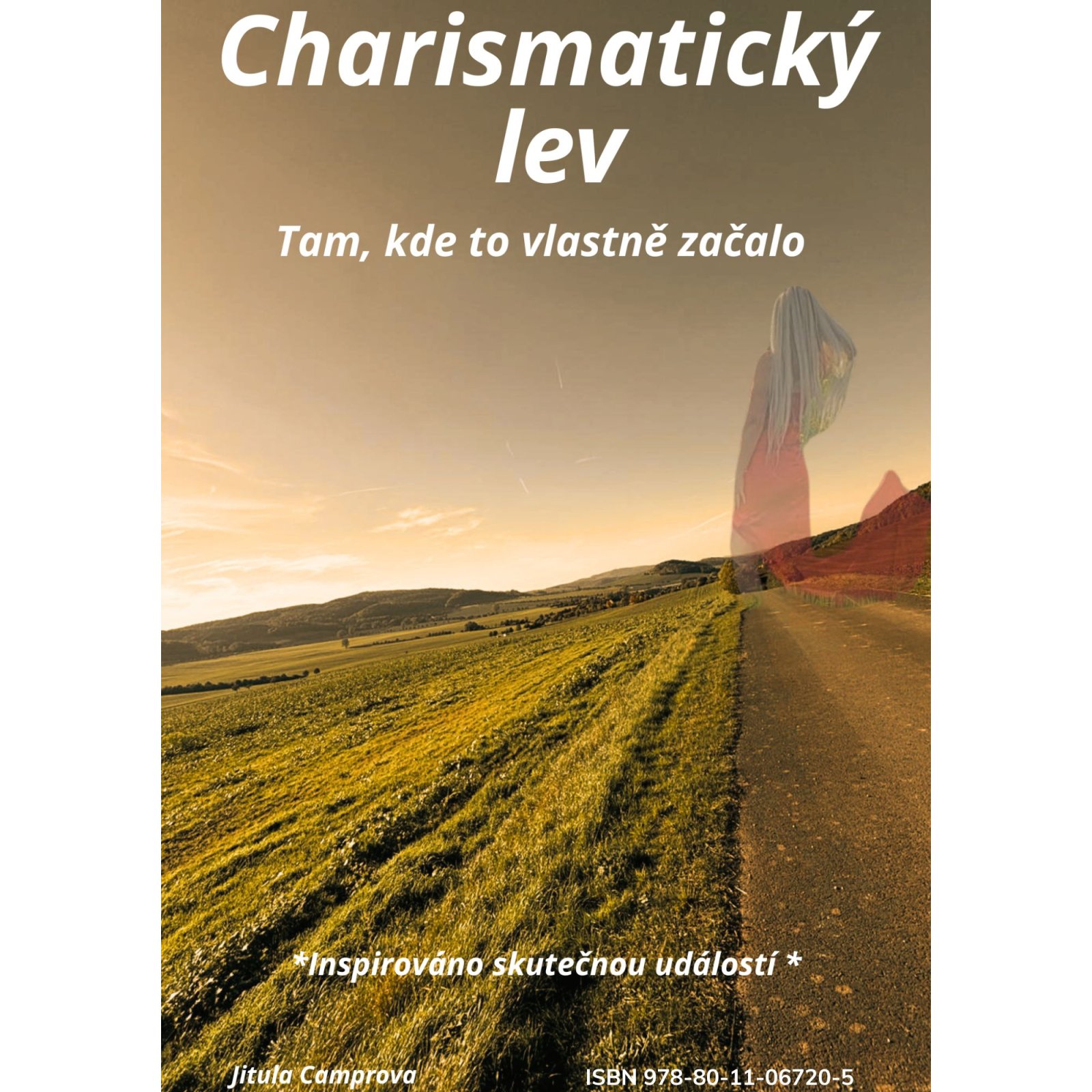 Charismatický lev 