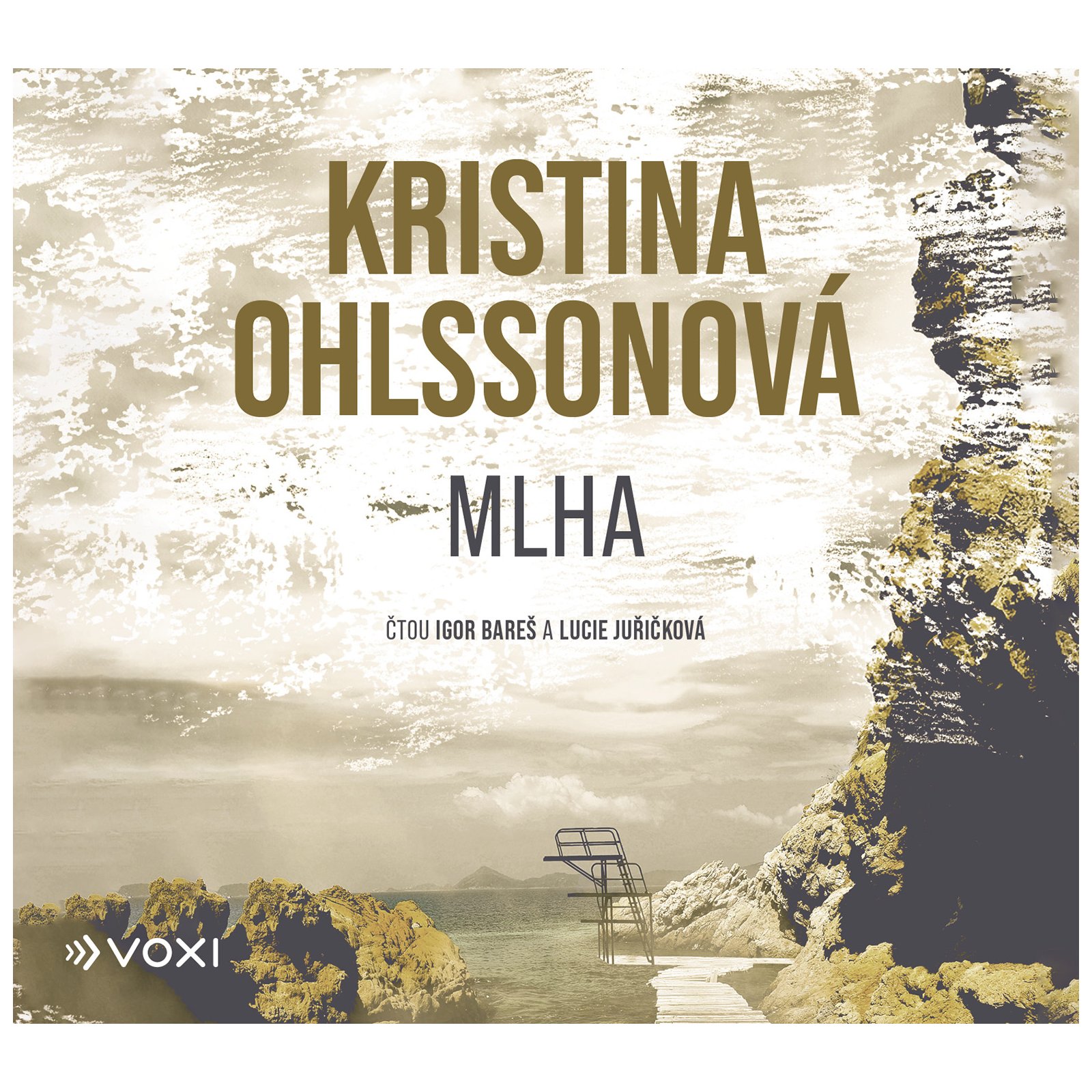 Mlha