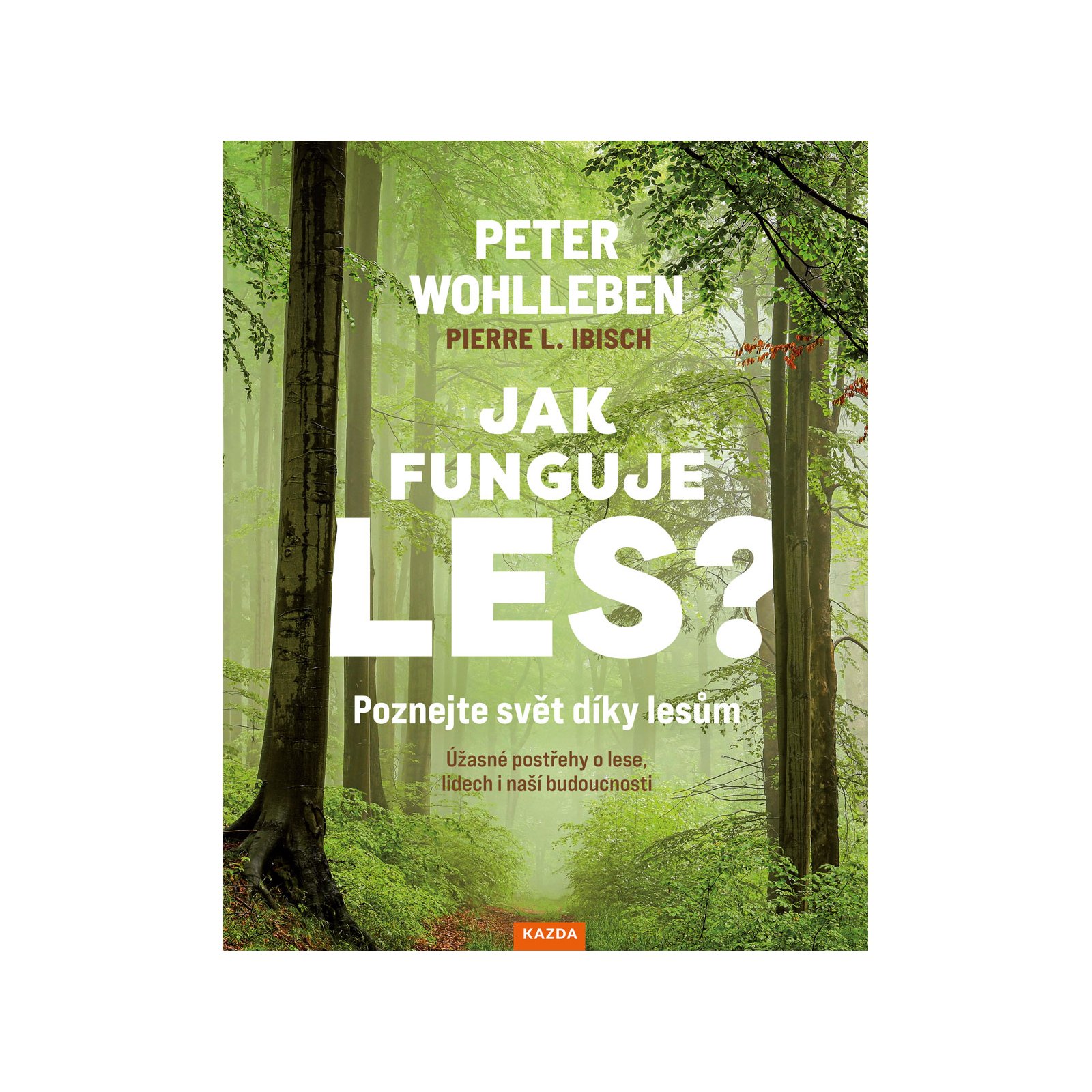 Jak funguje les?