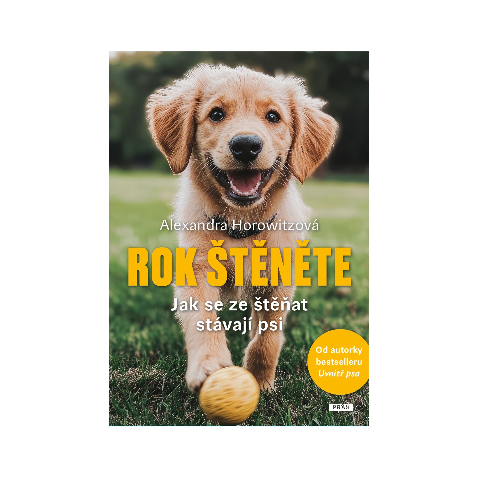 Rok štěněte