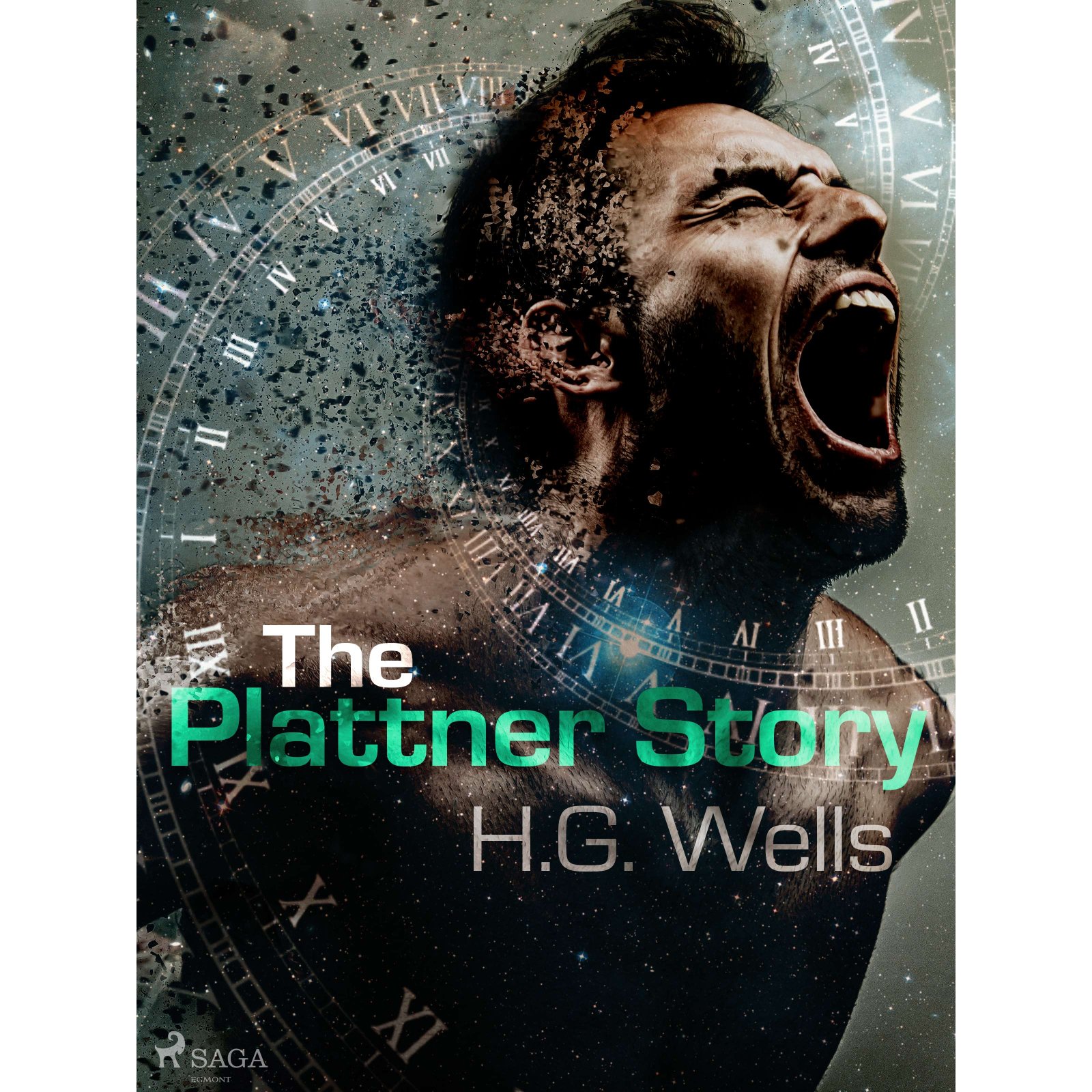 The Plattner Story