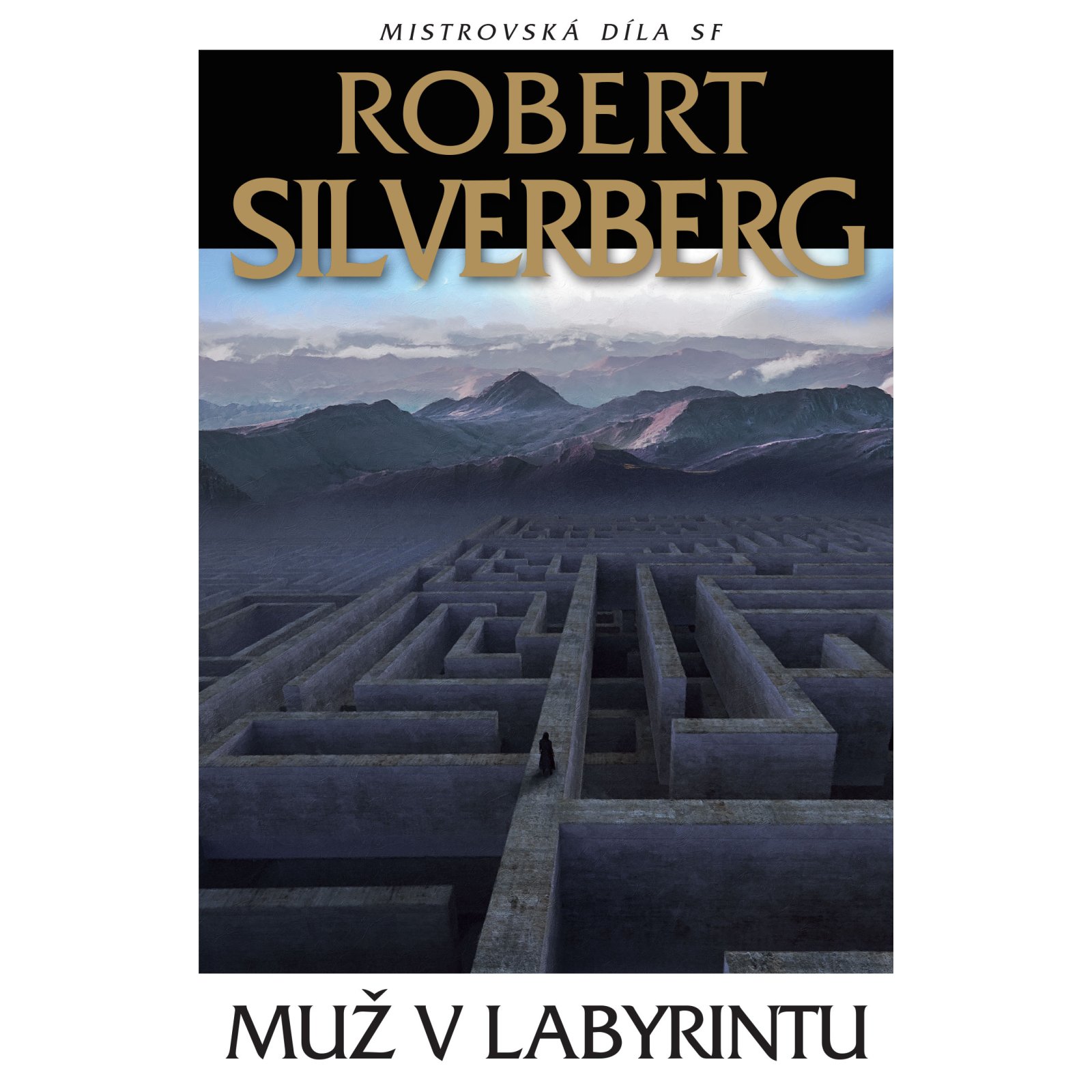 Muž v labyrintu