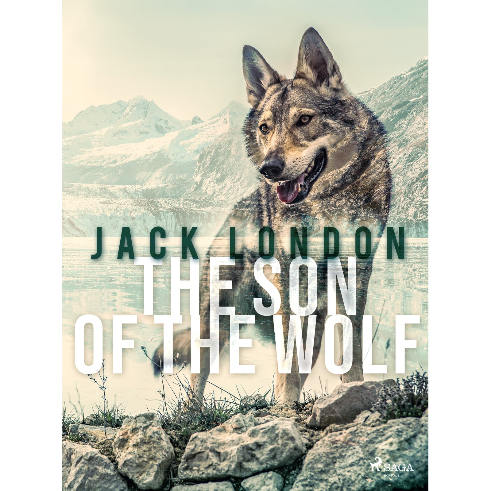 The Son of the Wolf