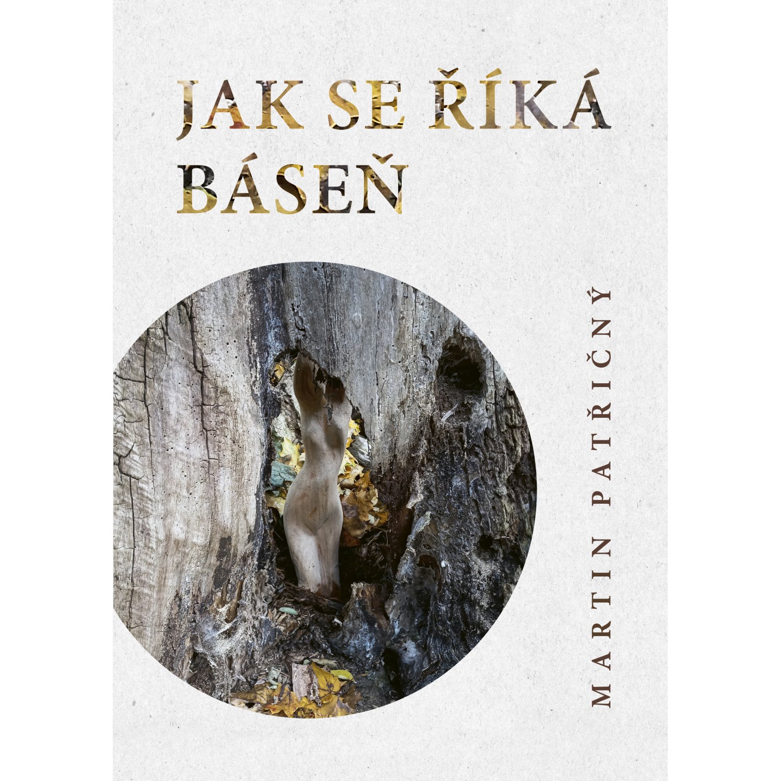 Jak se říká báseň