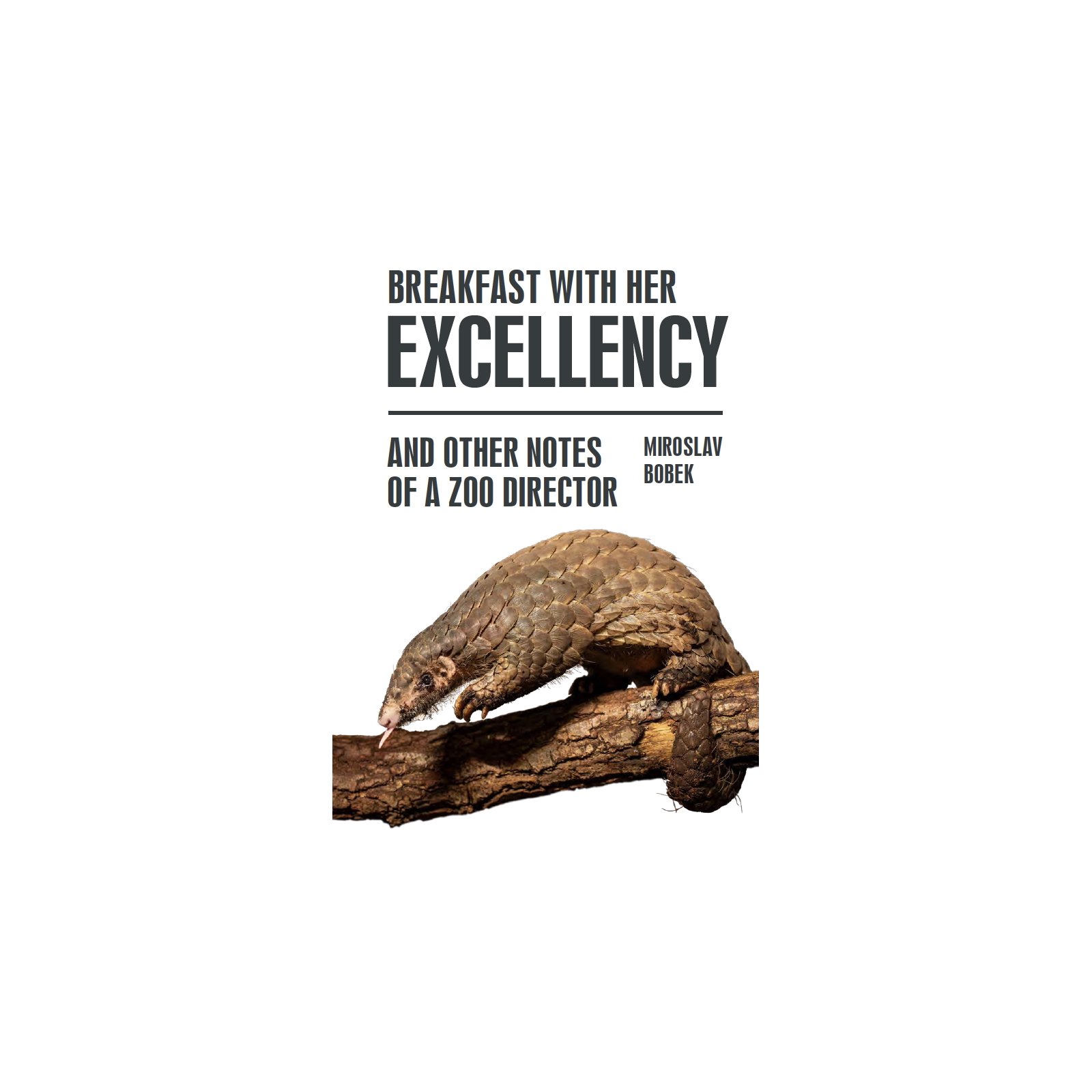 Breakfast with Her Excellency and Other Notes of a Zoo Director