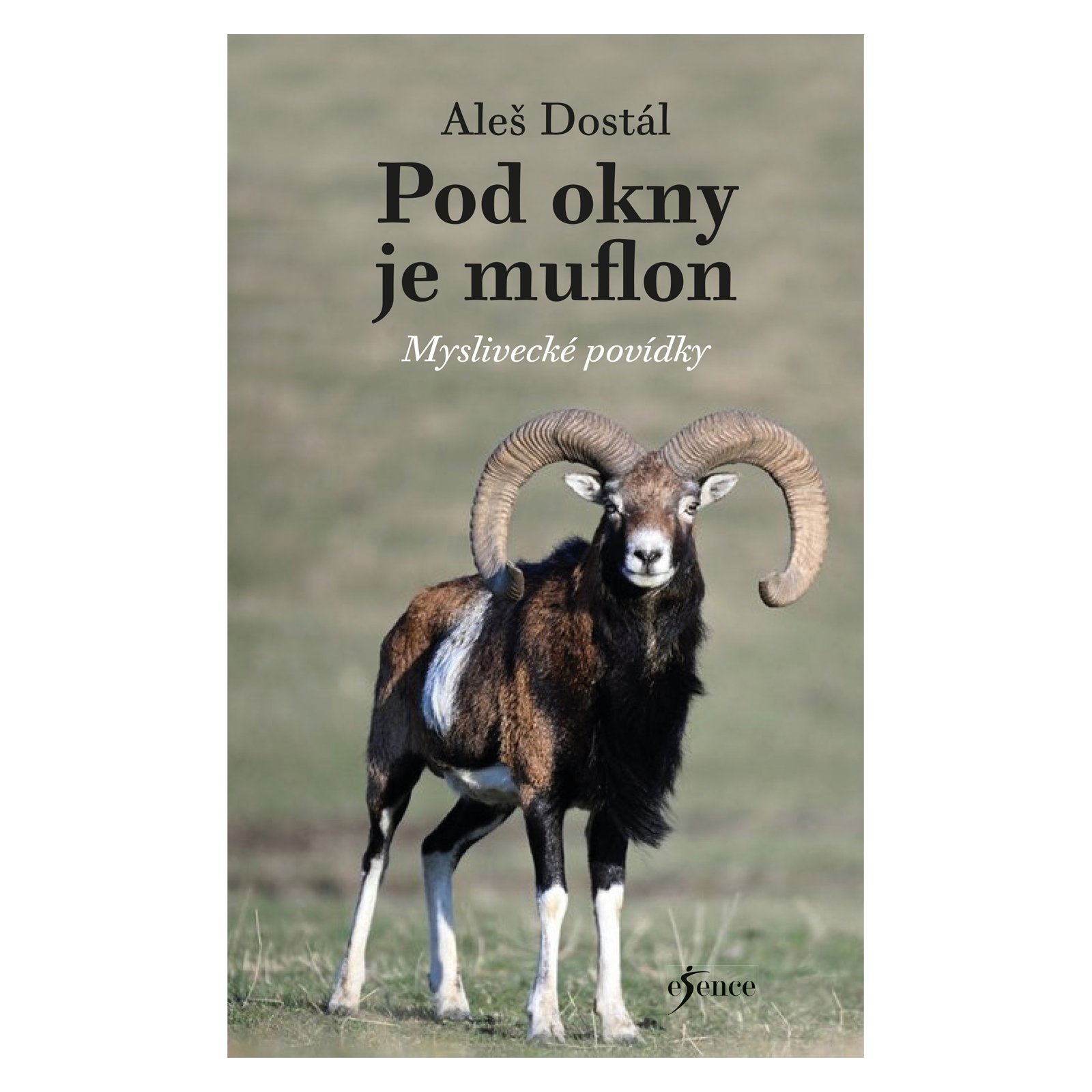 Pod okny je muflon