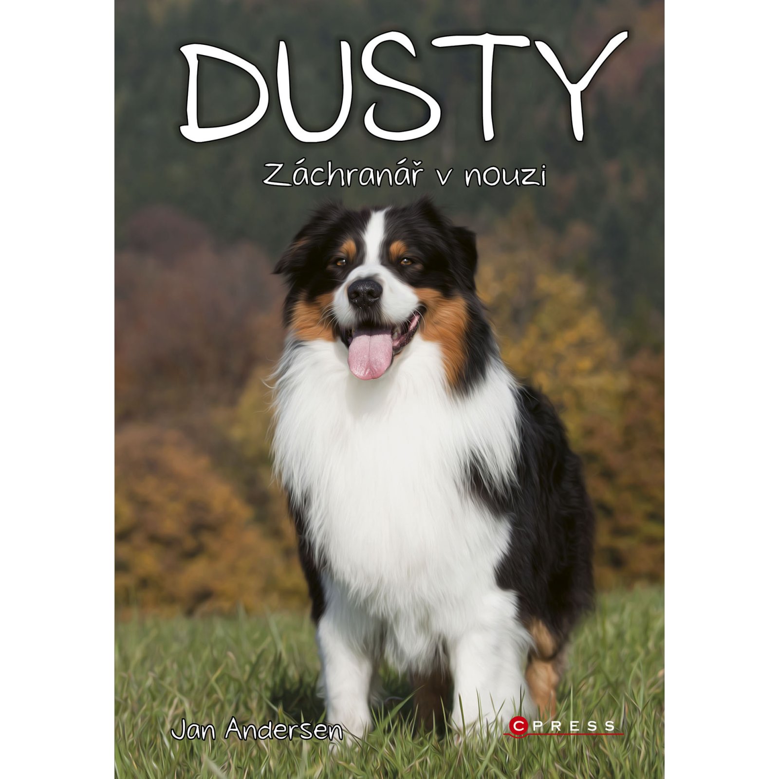 Dusty: Záchranář v nouzi