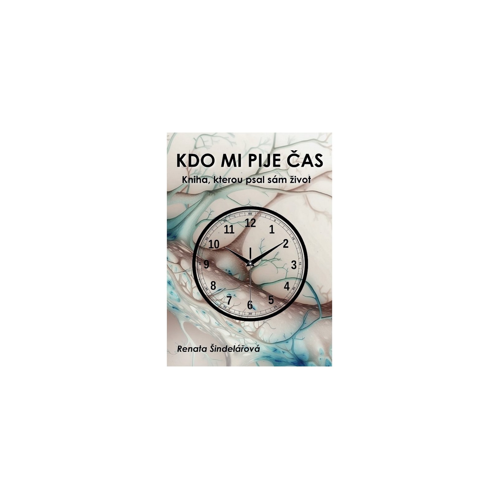 Kdo mi pije čas
