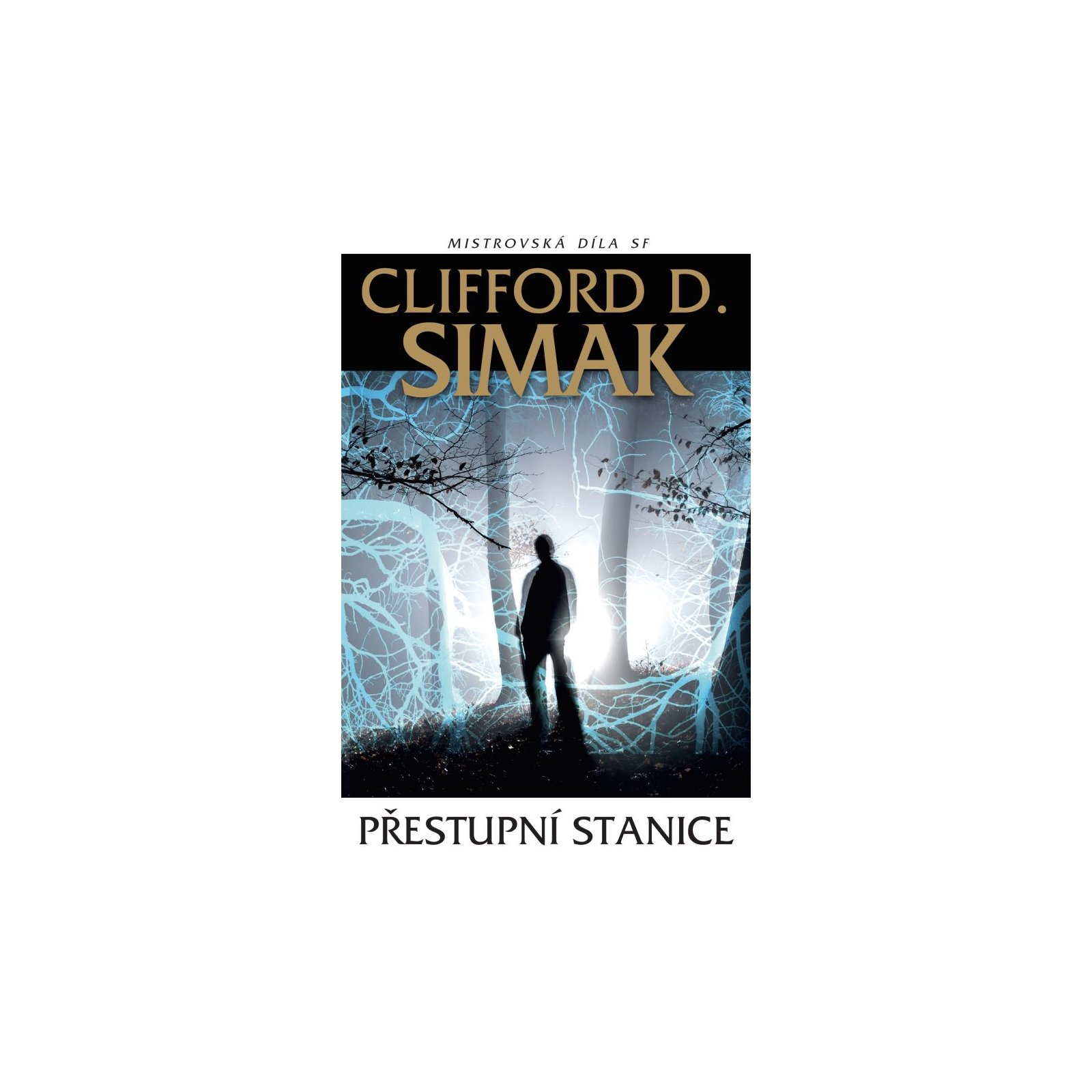 Přestupní stanice