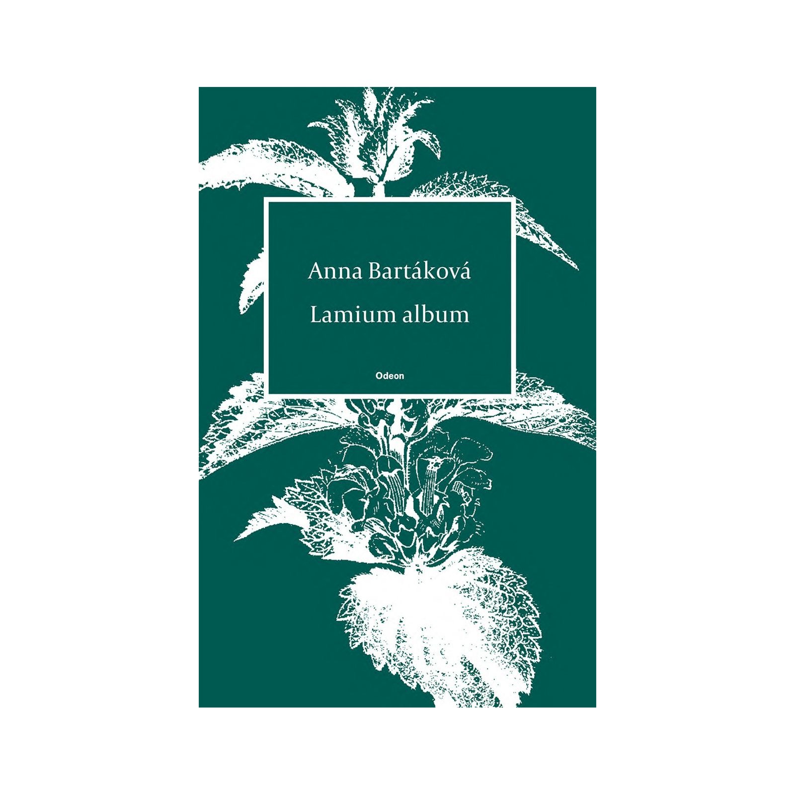 Lamium album