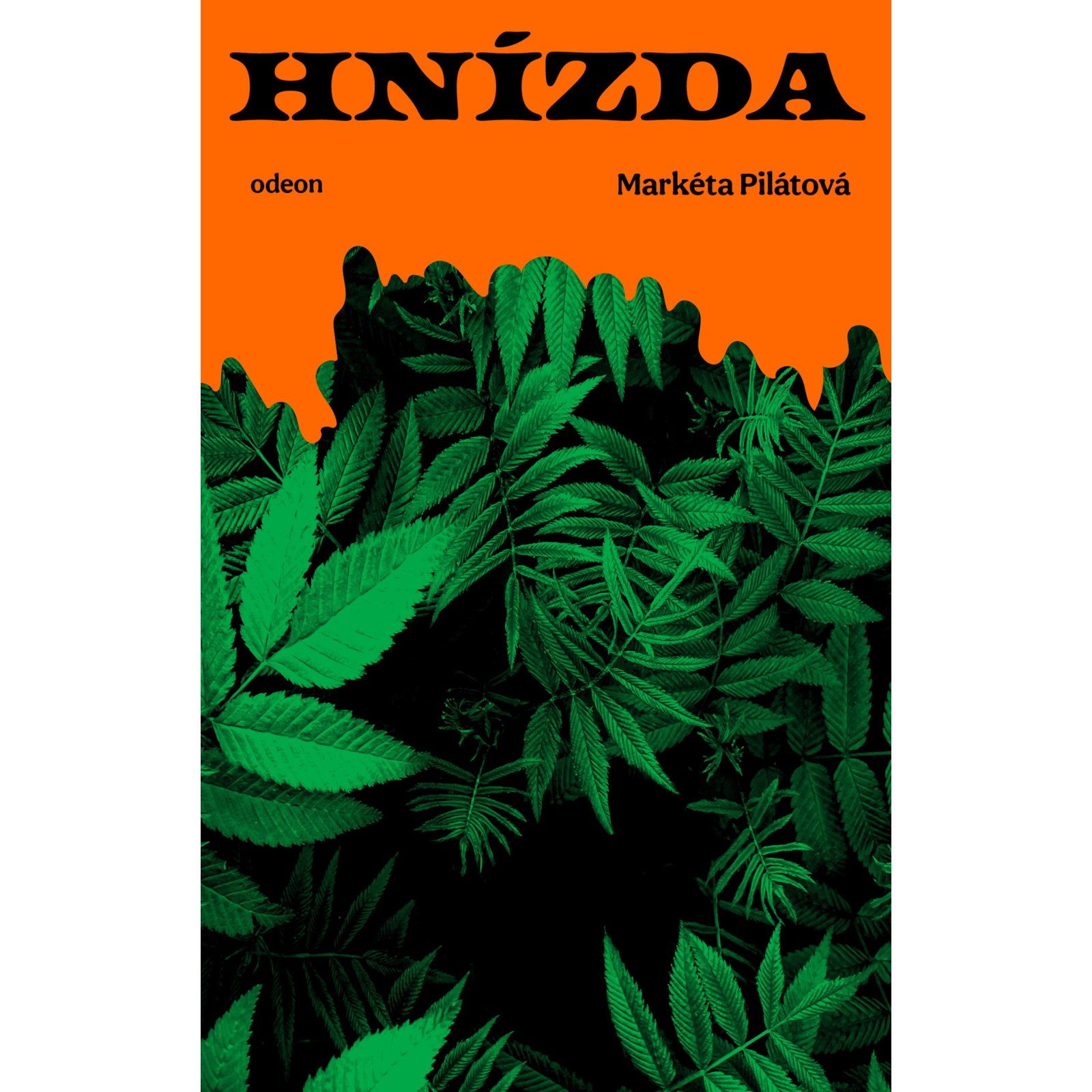 Hnízda