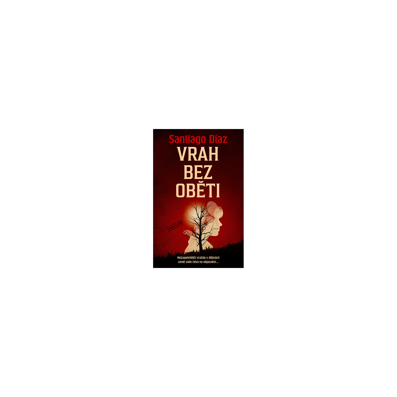 Vrah bez oběti
