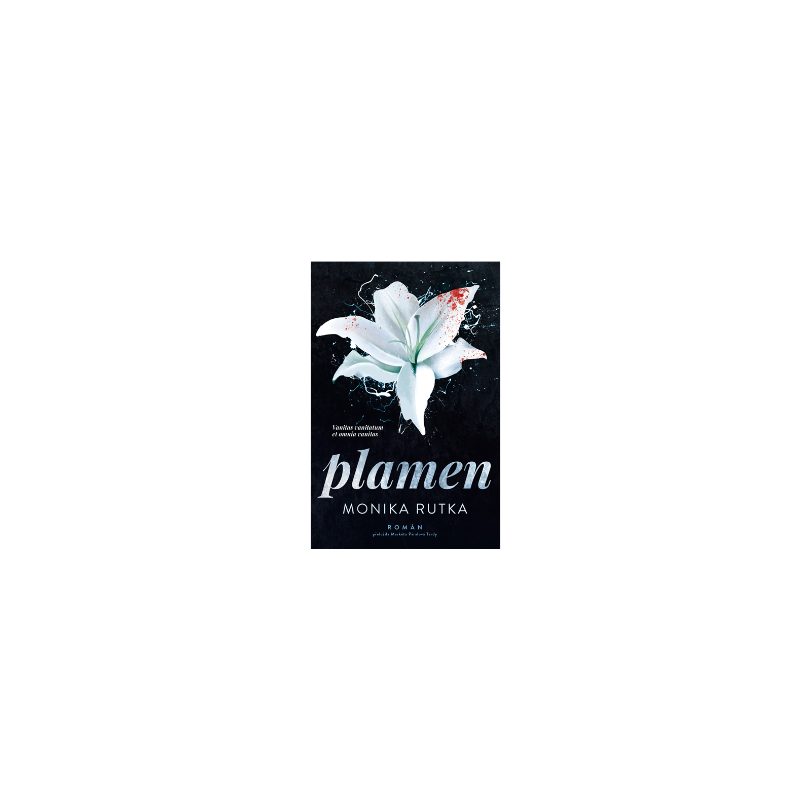Plamen