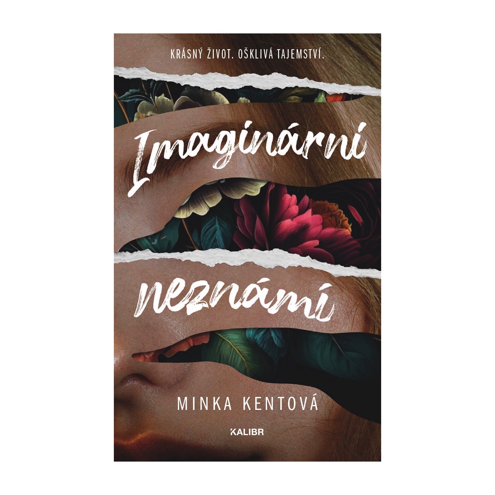 Imaginární neznámí