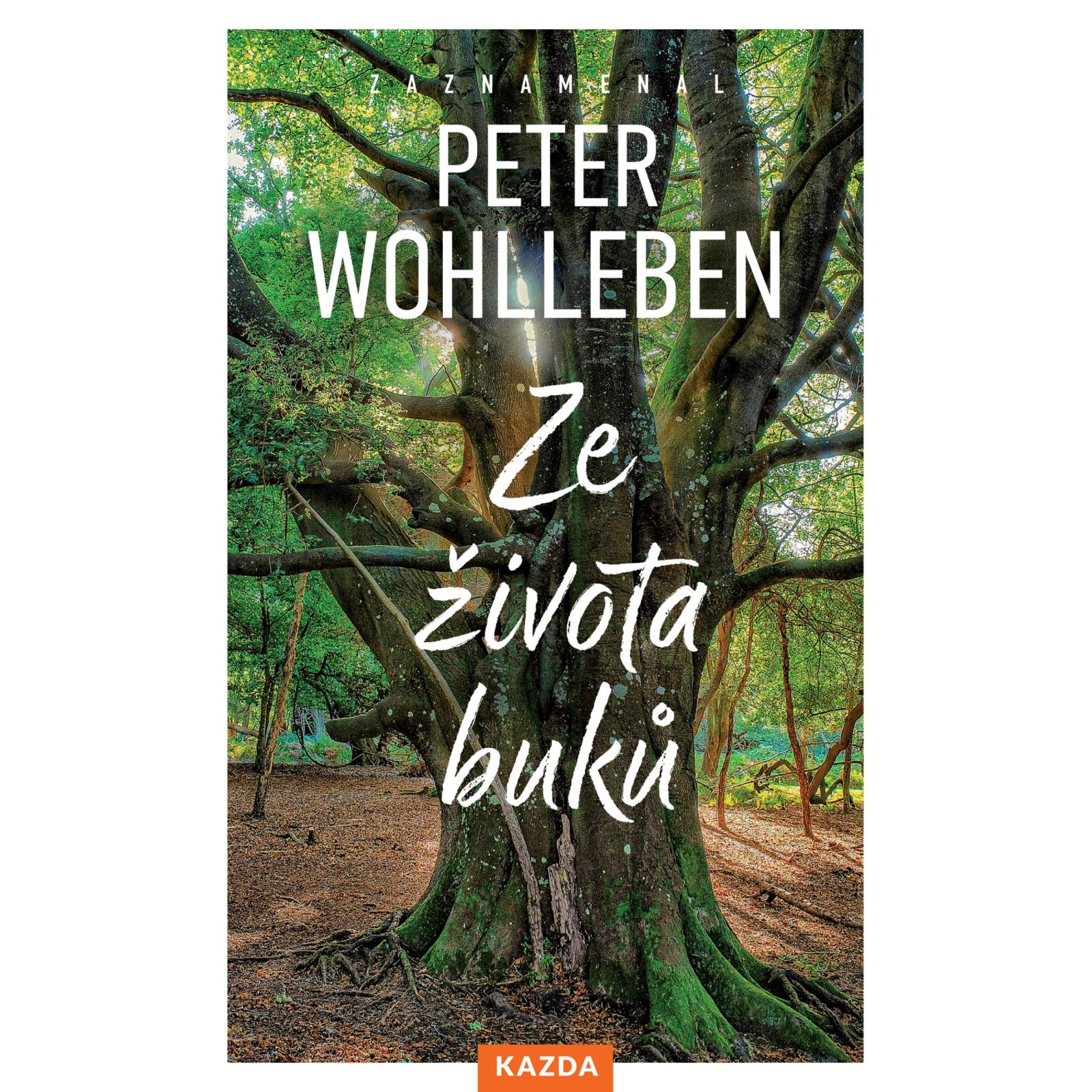 Ze života buků
