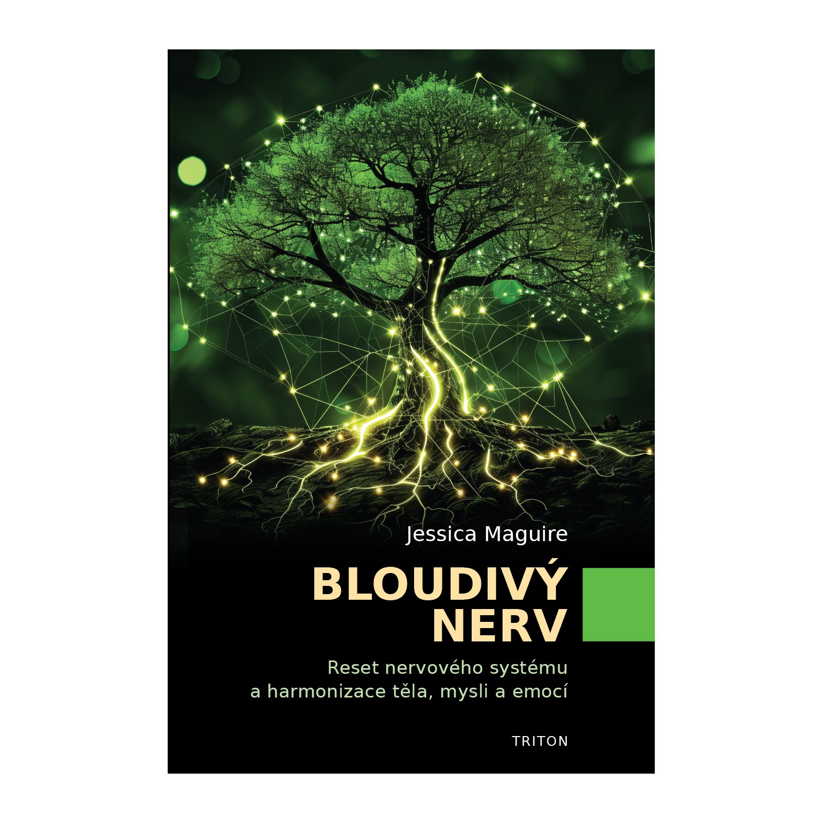 Bloudivý nerv