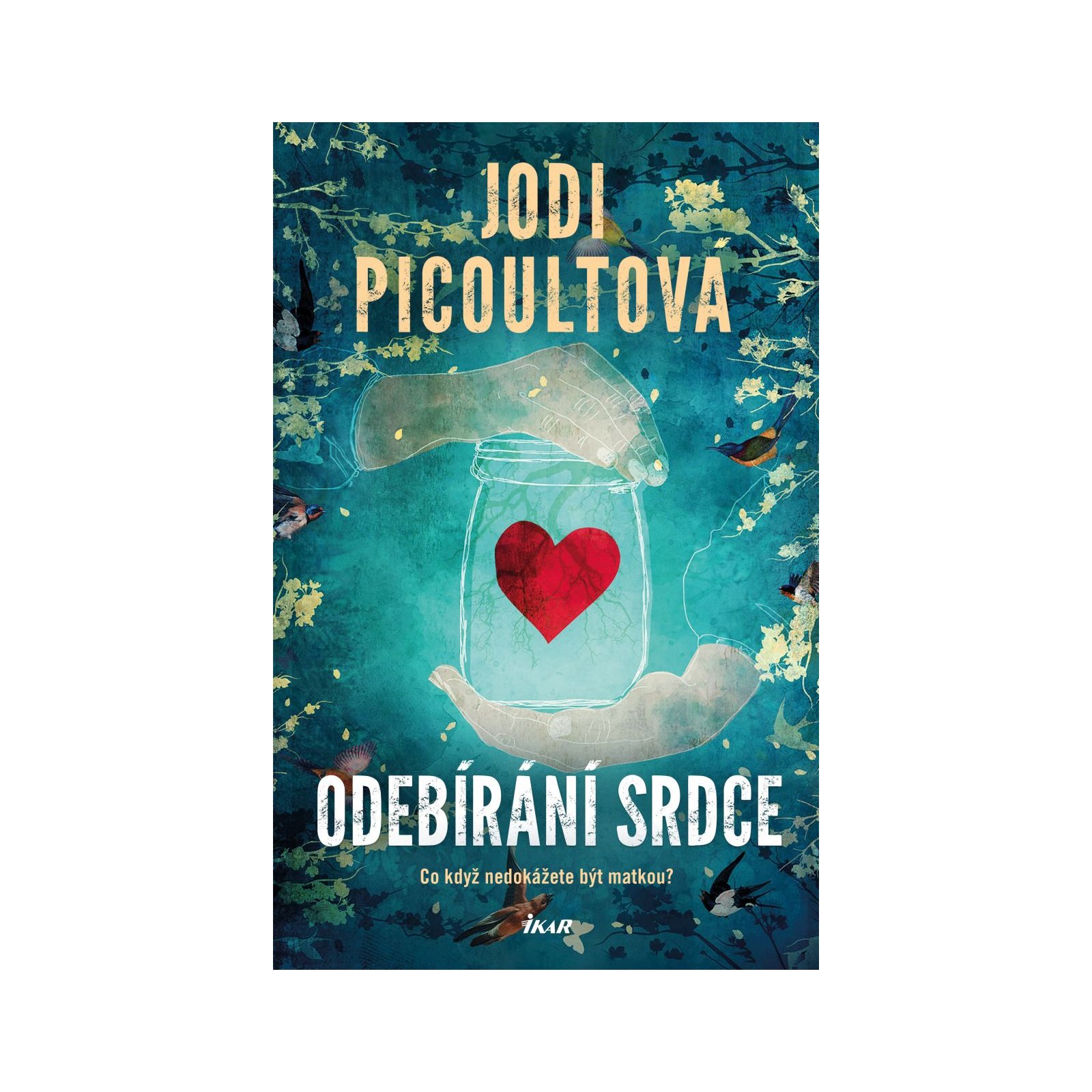 Odebírání srdce