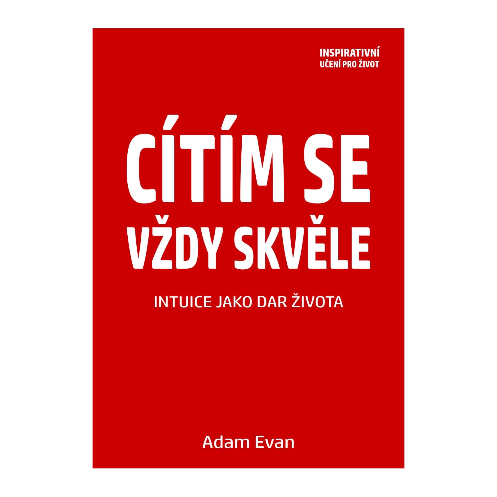 Cítím se vždy skvěle, Intuice jako dar života