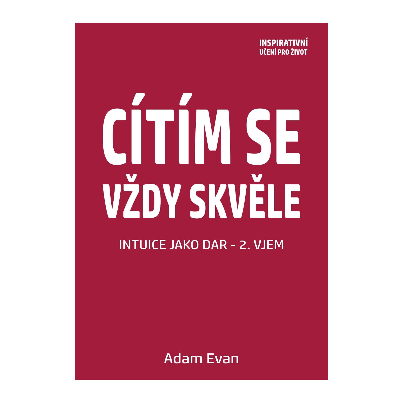 Cítím se vždy skvěle, Intuice jako dar 2. Vjem