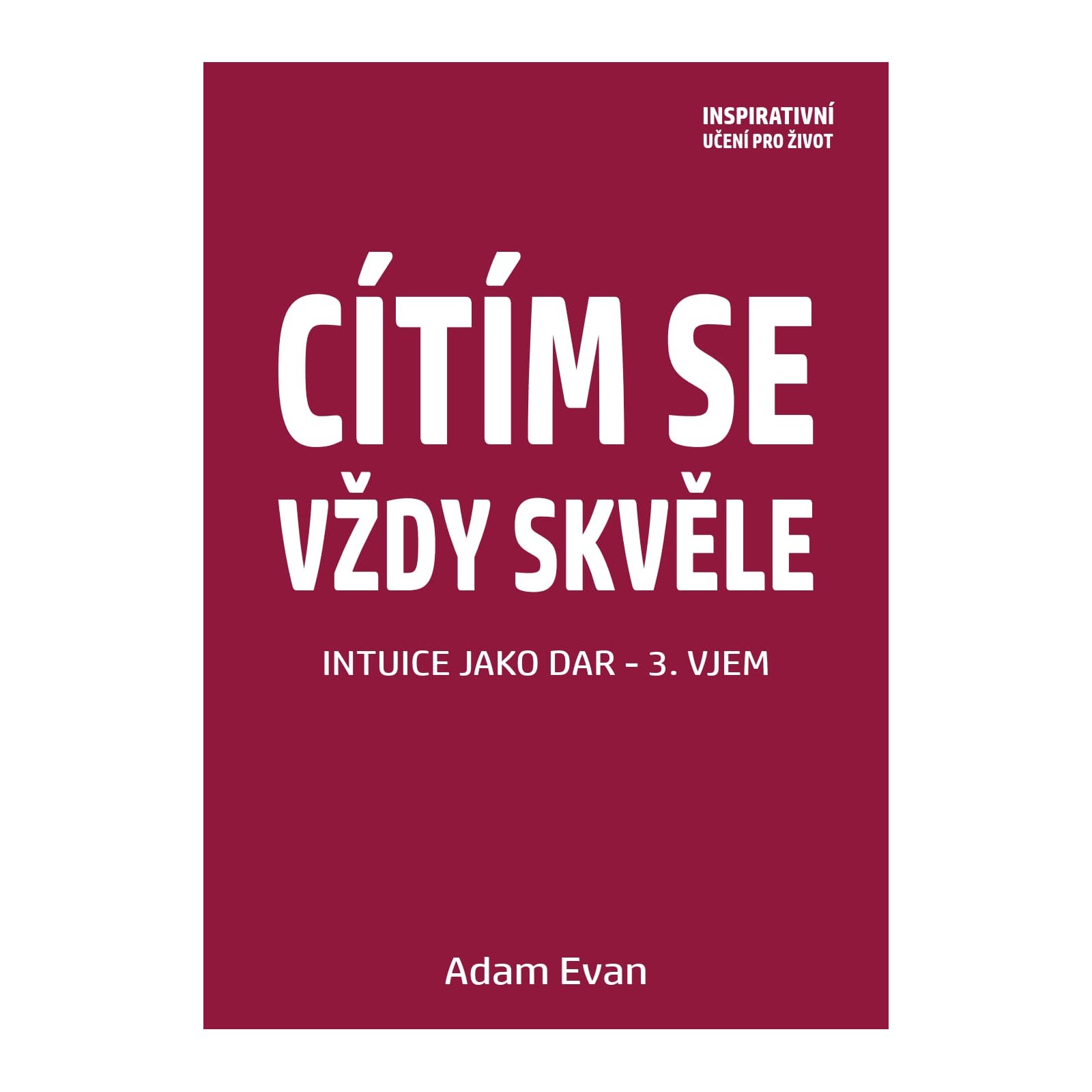 Cítím se vždy skvěle, Intuice jako dar 3. Vjem