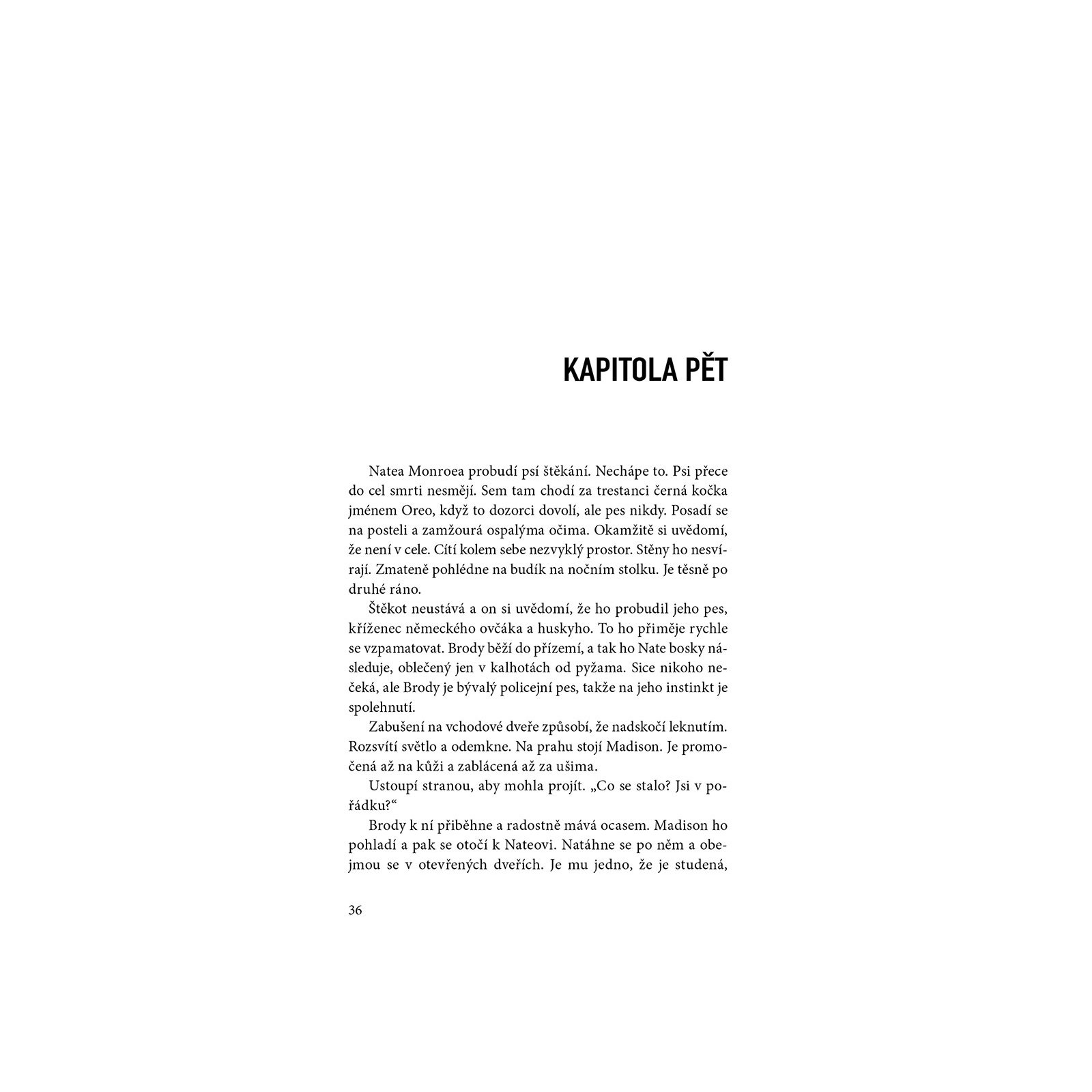 Nahled 5