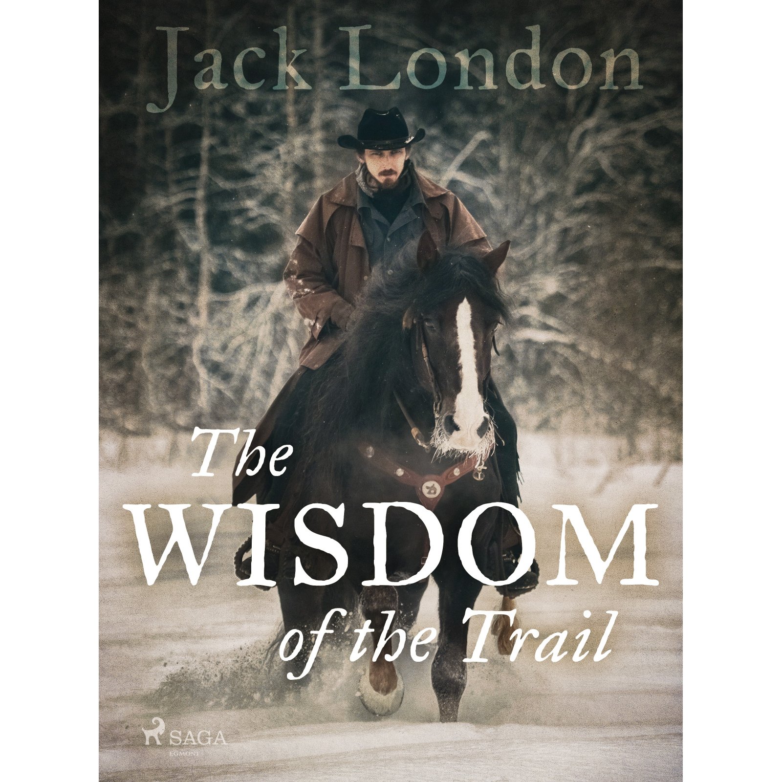 The Wisdom of the Trail