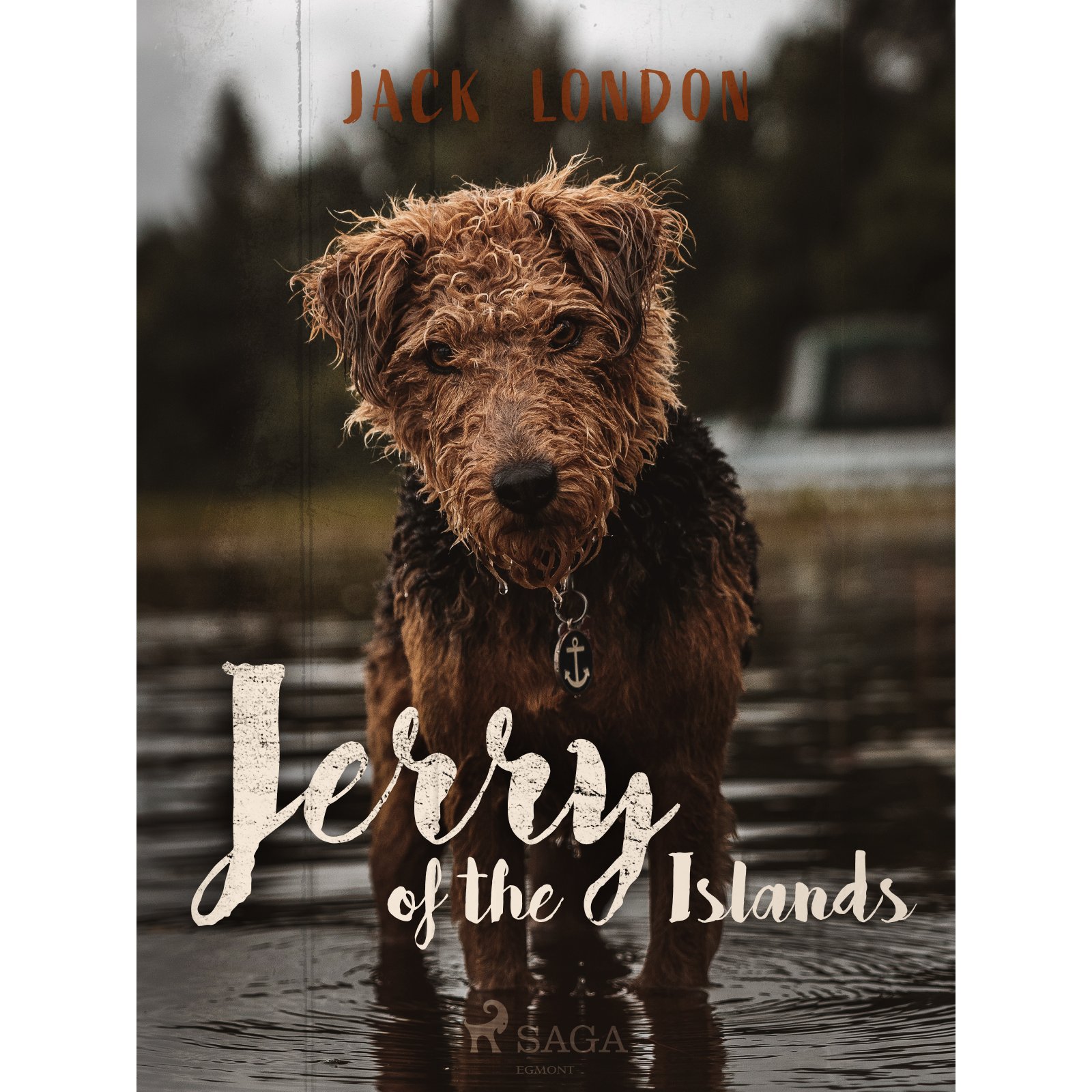 Jerry of the Islands