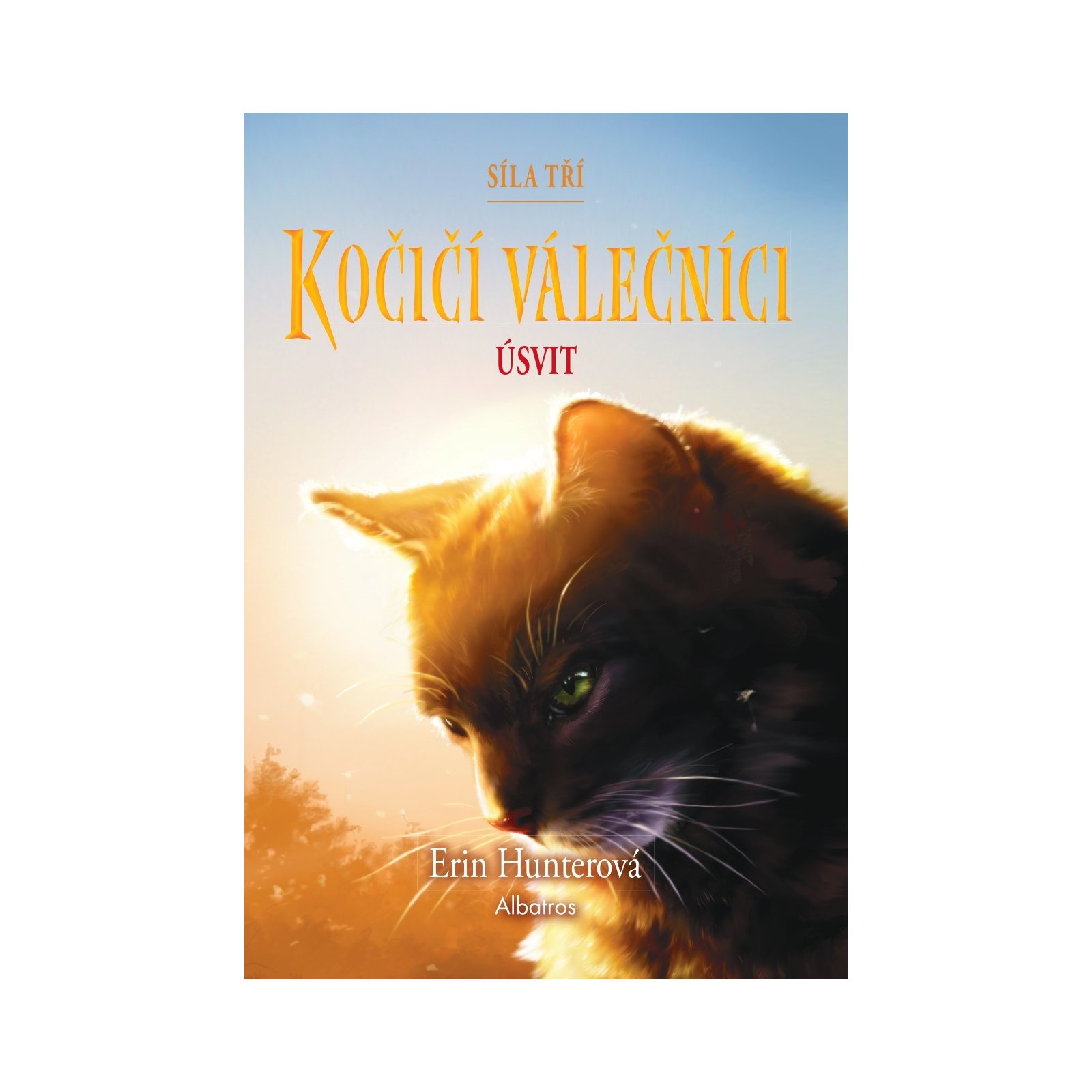 Kočičí válečníci: Síla tří (6) – Úsvit