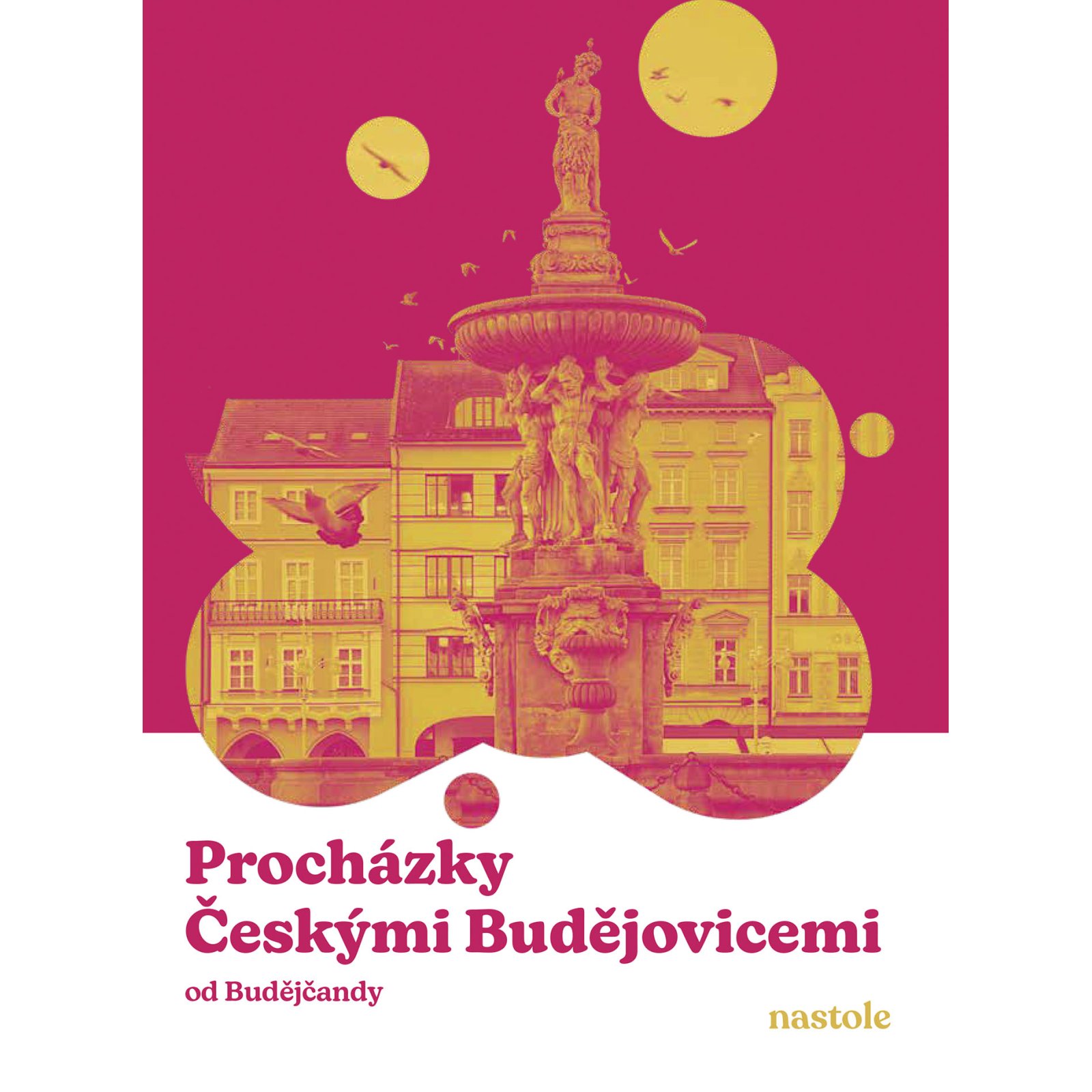 Procházky Českými Budějovicemi