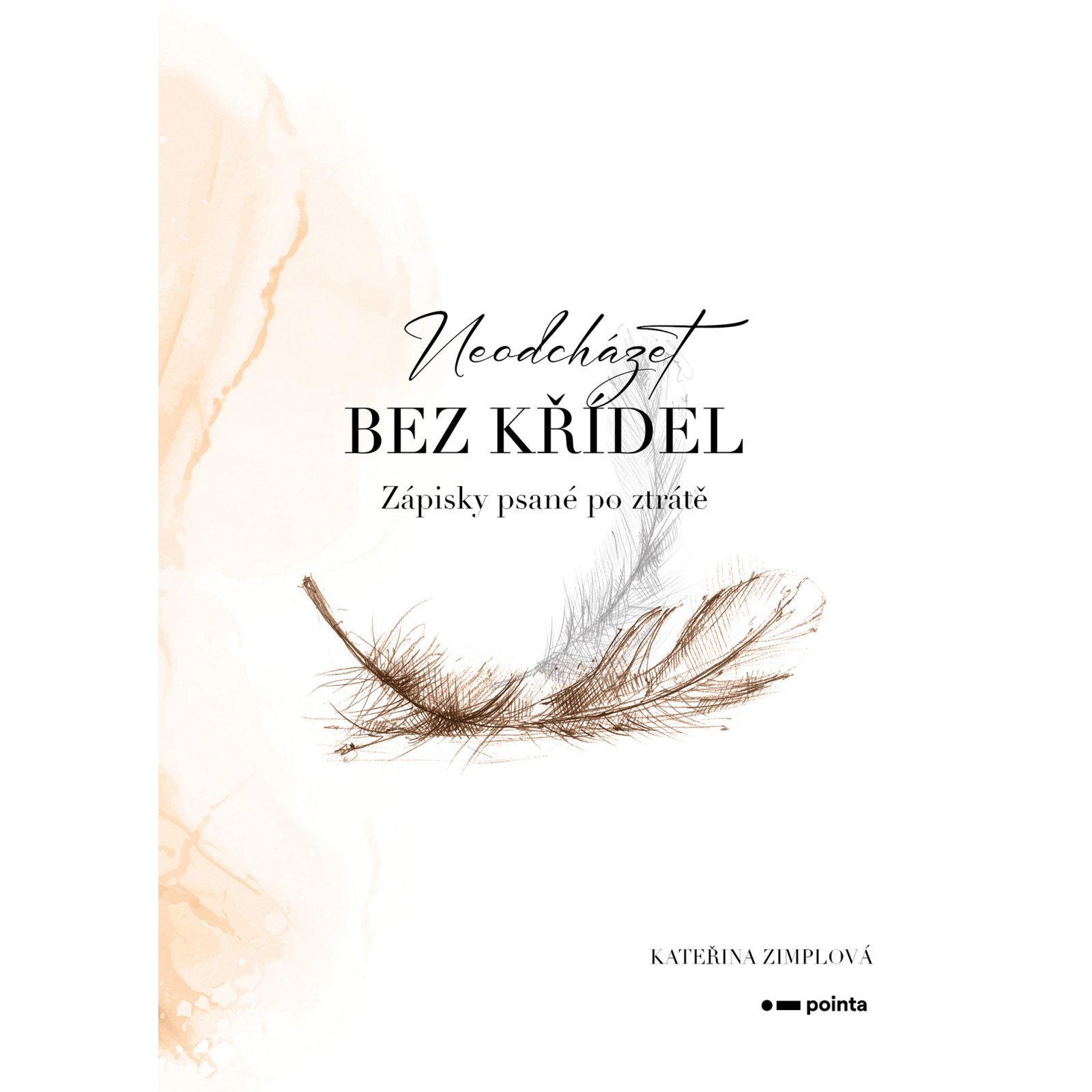 Neodcházet bez křídel