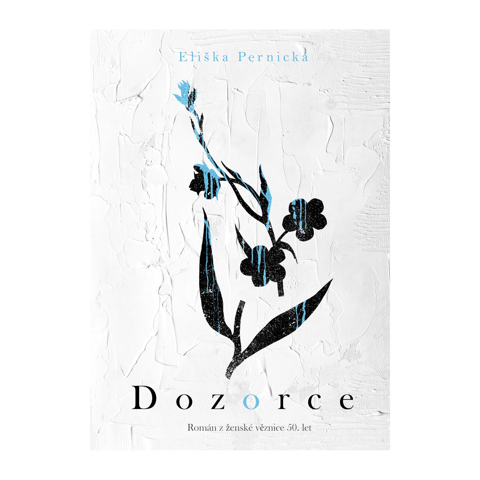 Dozorce