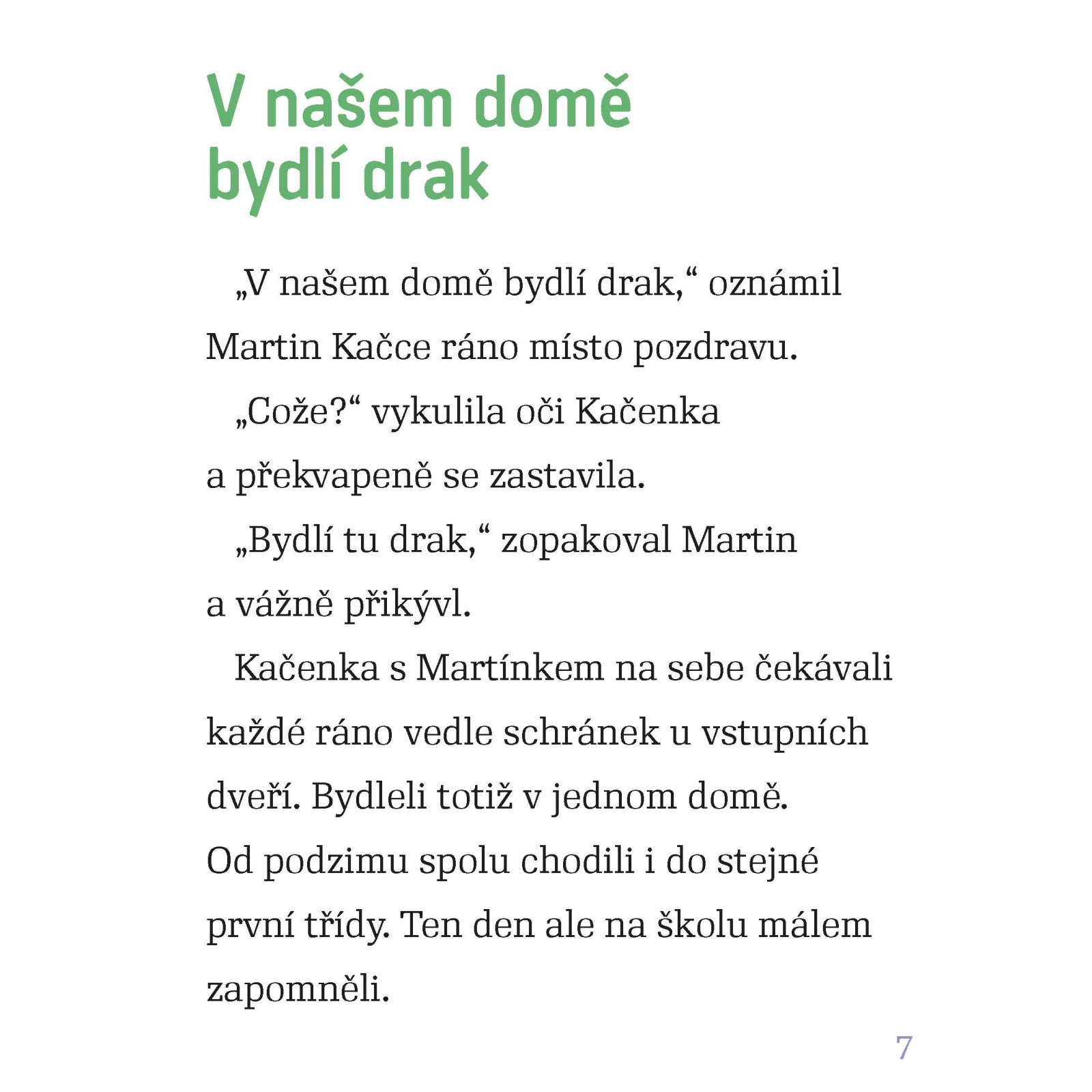 Nahled 5